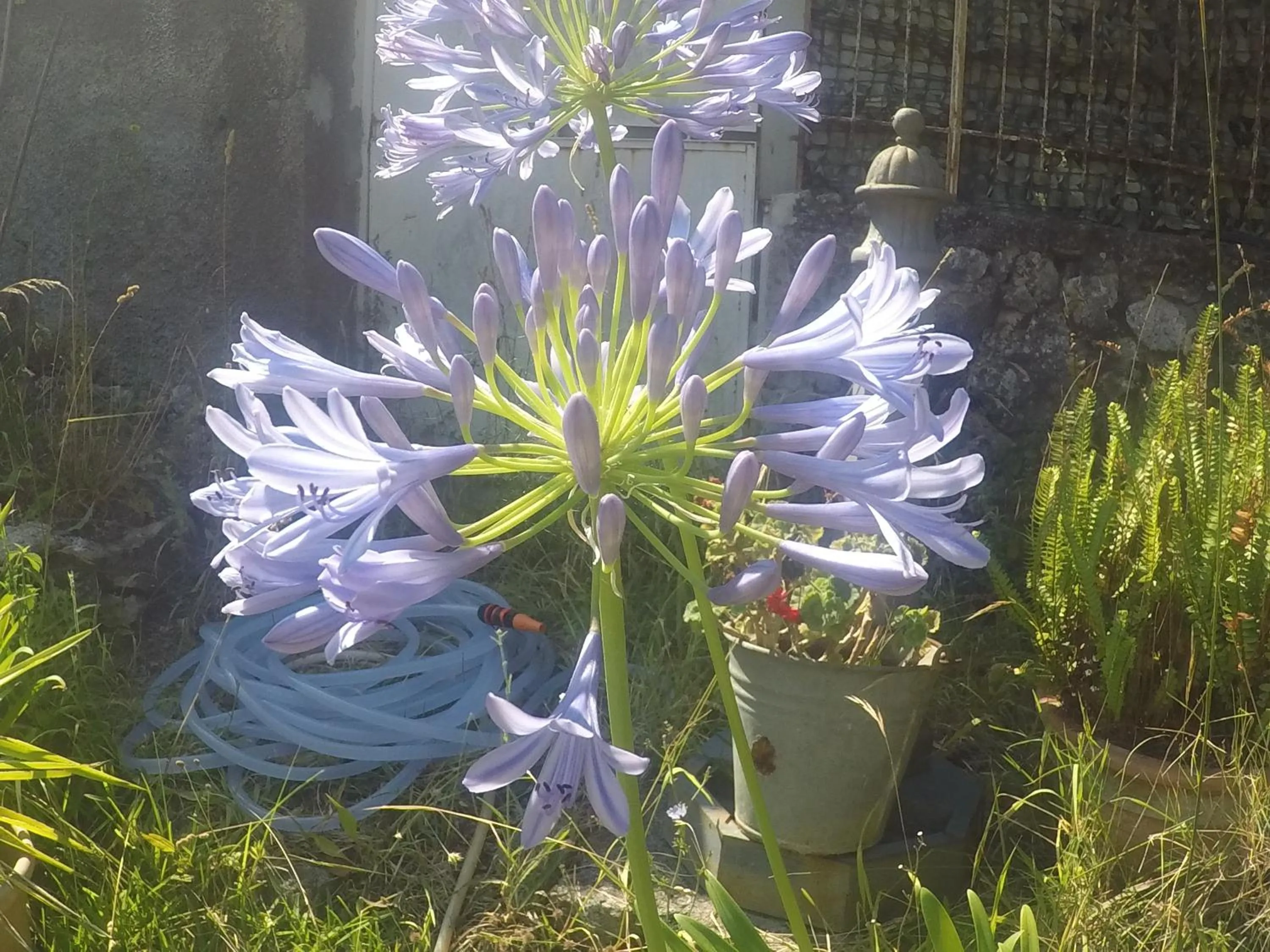B&B da Maria Teresa - Maratea