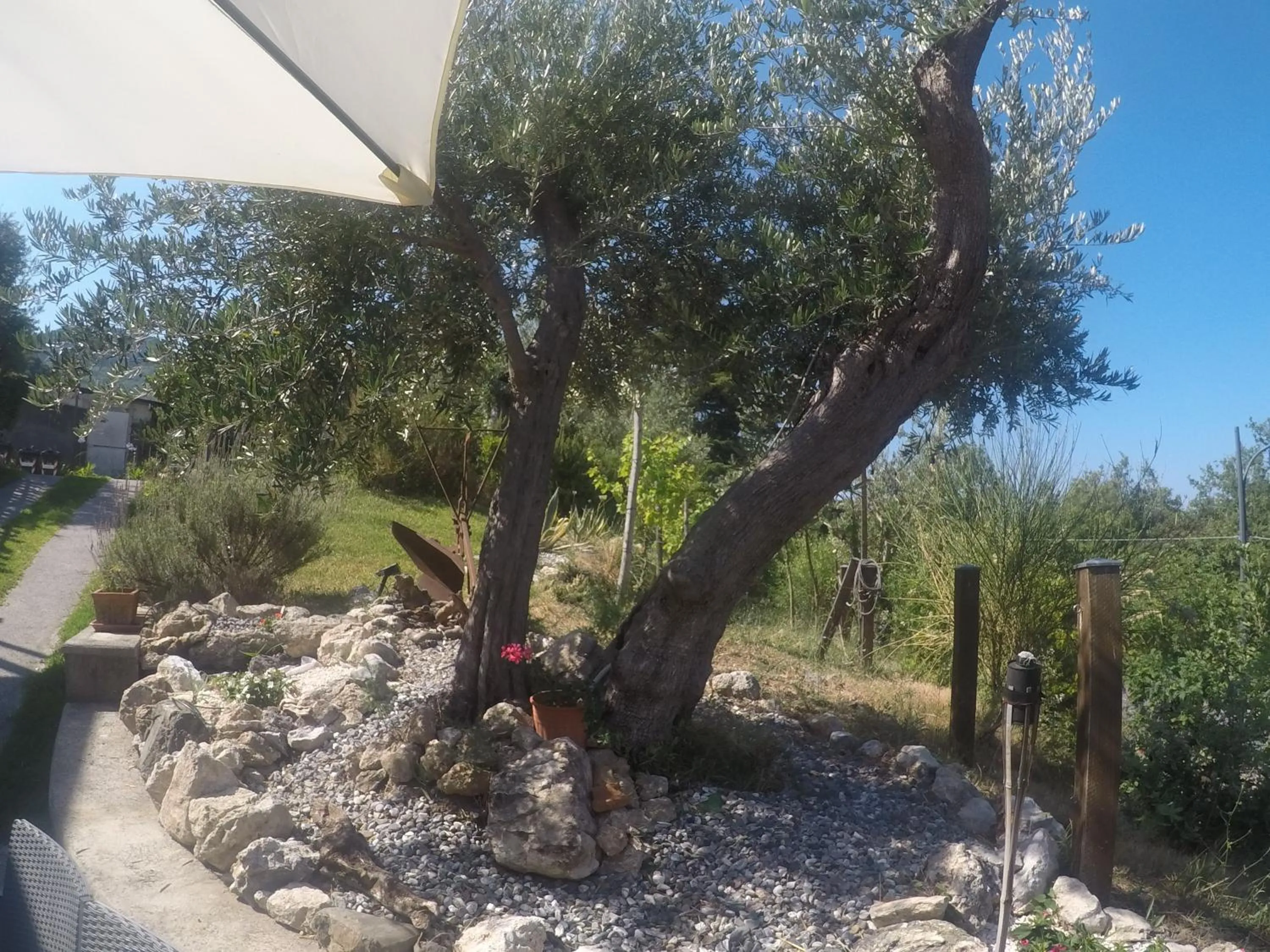 B&B da Maria Teresa - Maratea