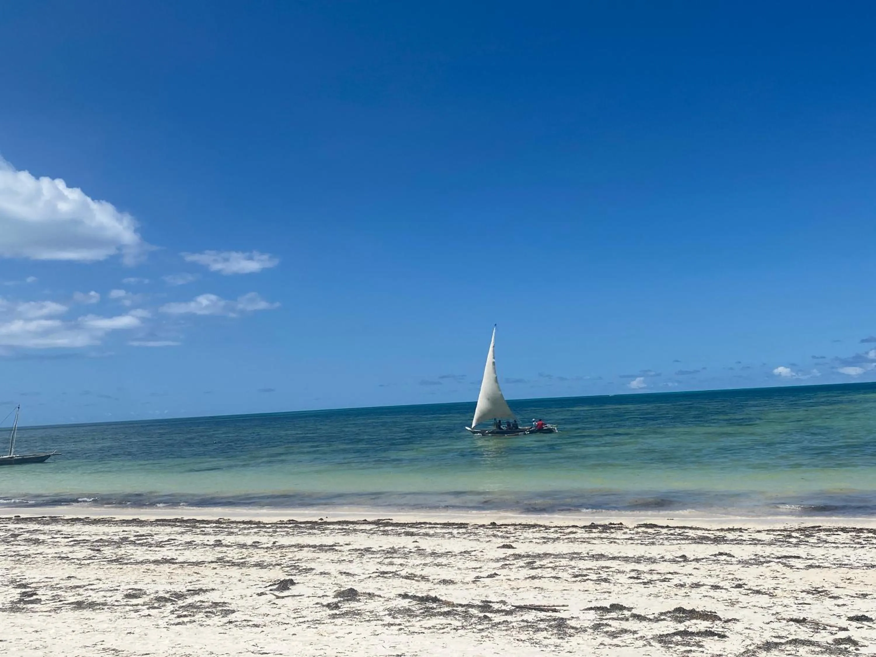 Beach in Mbuyuni Beach Village