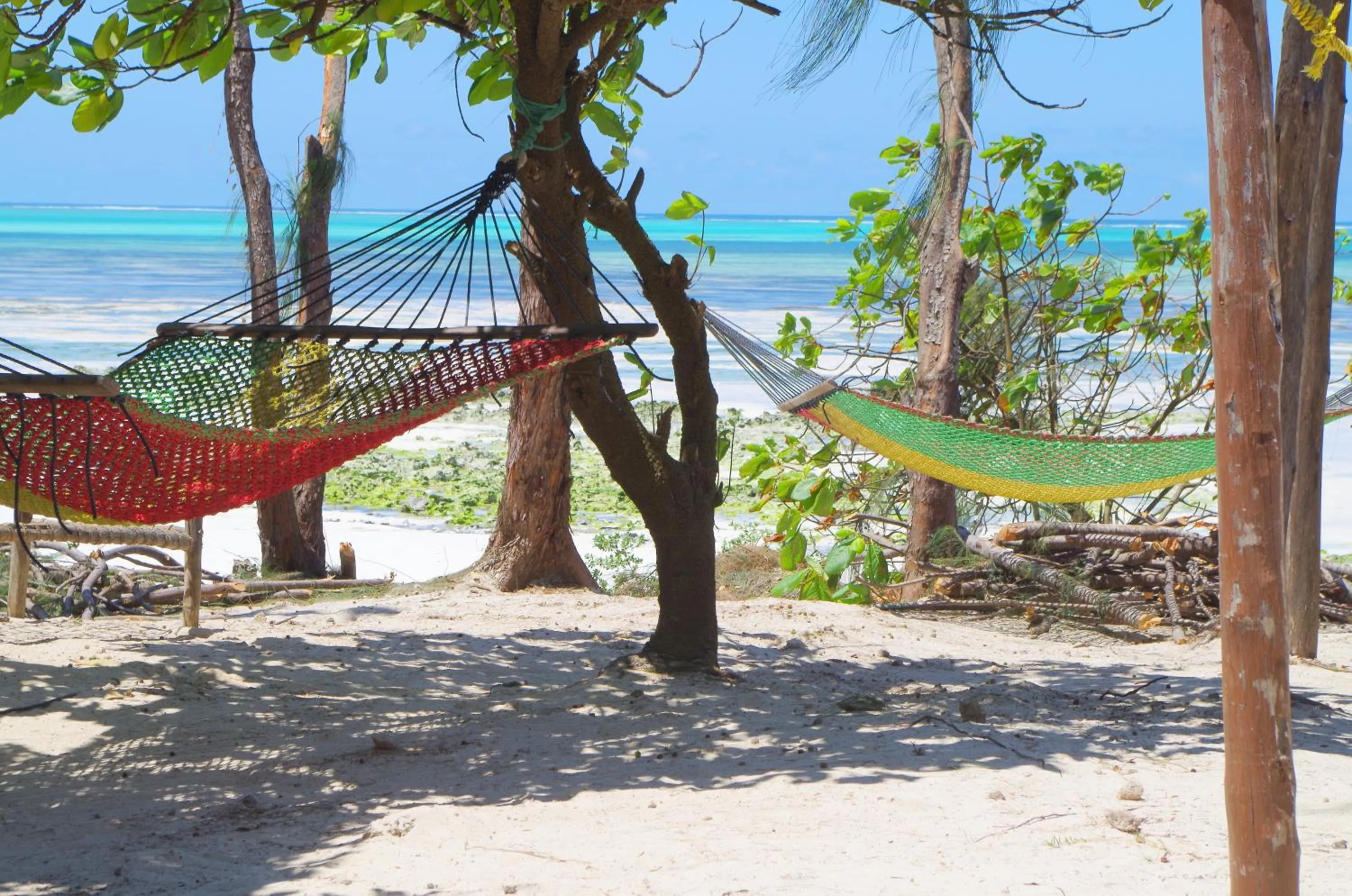 Day in Mbuyuni Beach Village