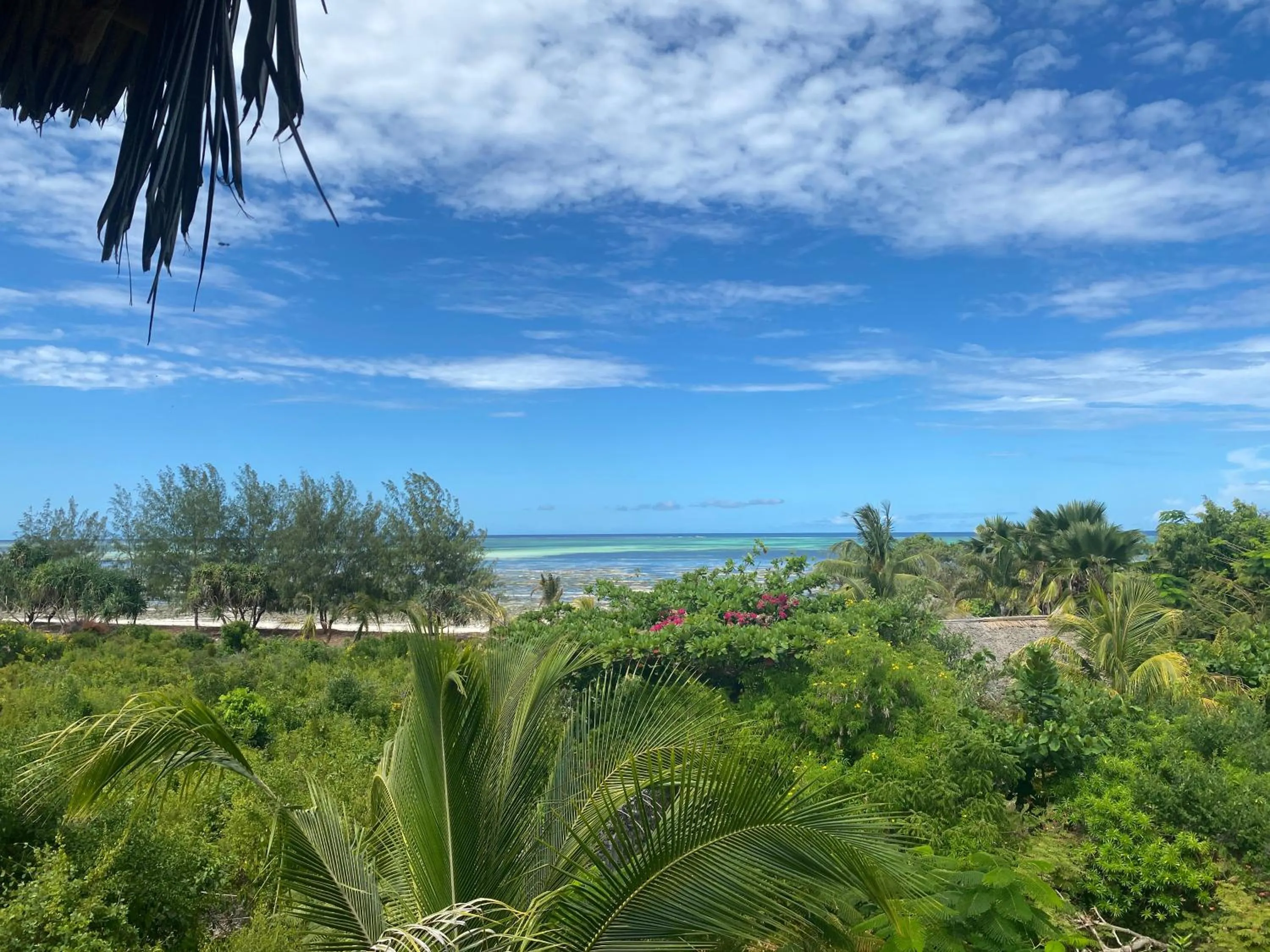 Balcony/Terrace in Mbuyuni Beach Village