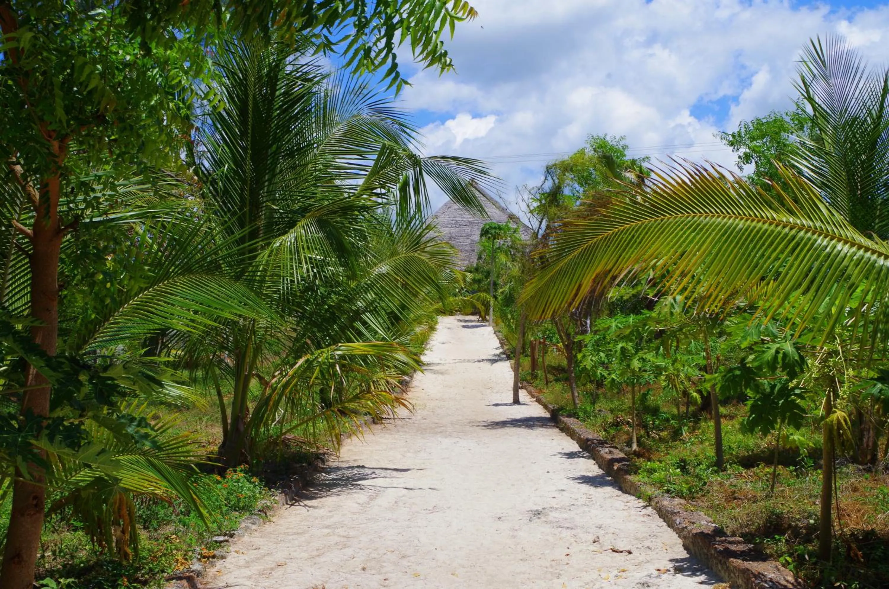 Day in Mbuyuni Beach Village