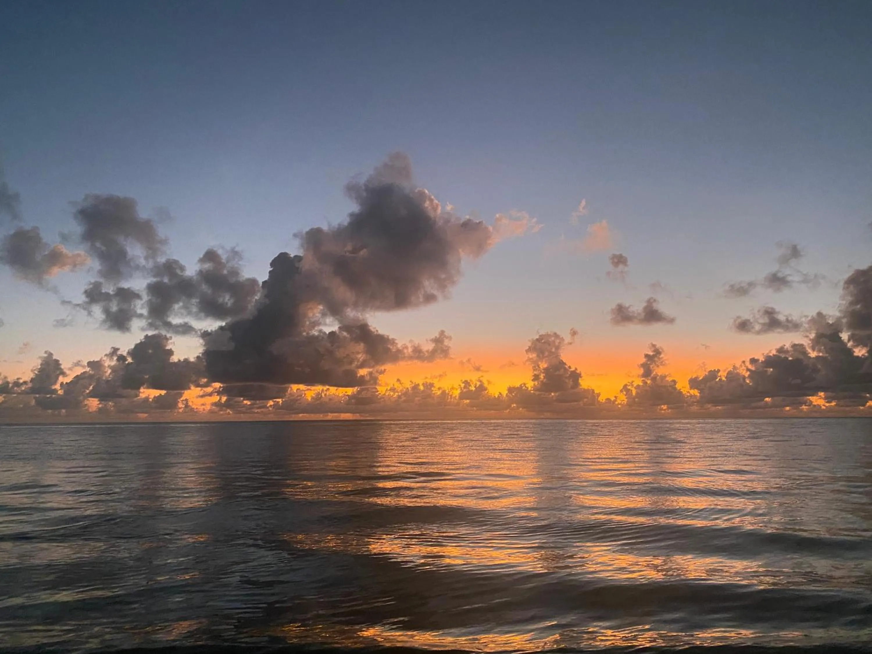 Beach in Mbuyuni Beach Village
