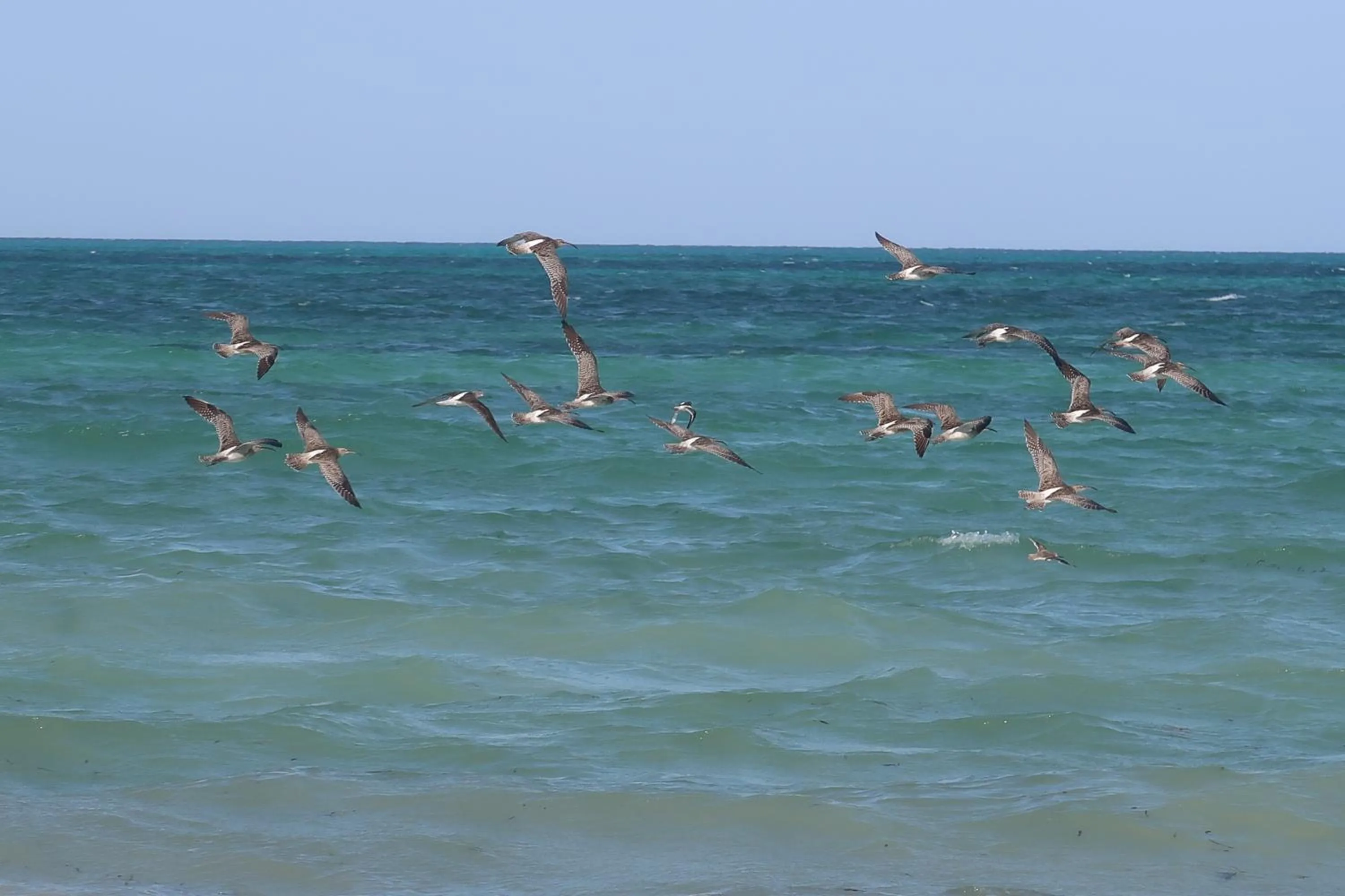 Day in Mbuyuni Beach Village