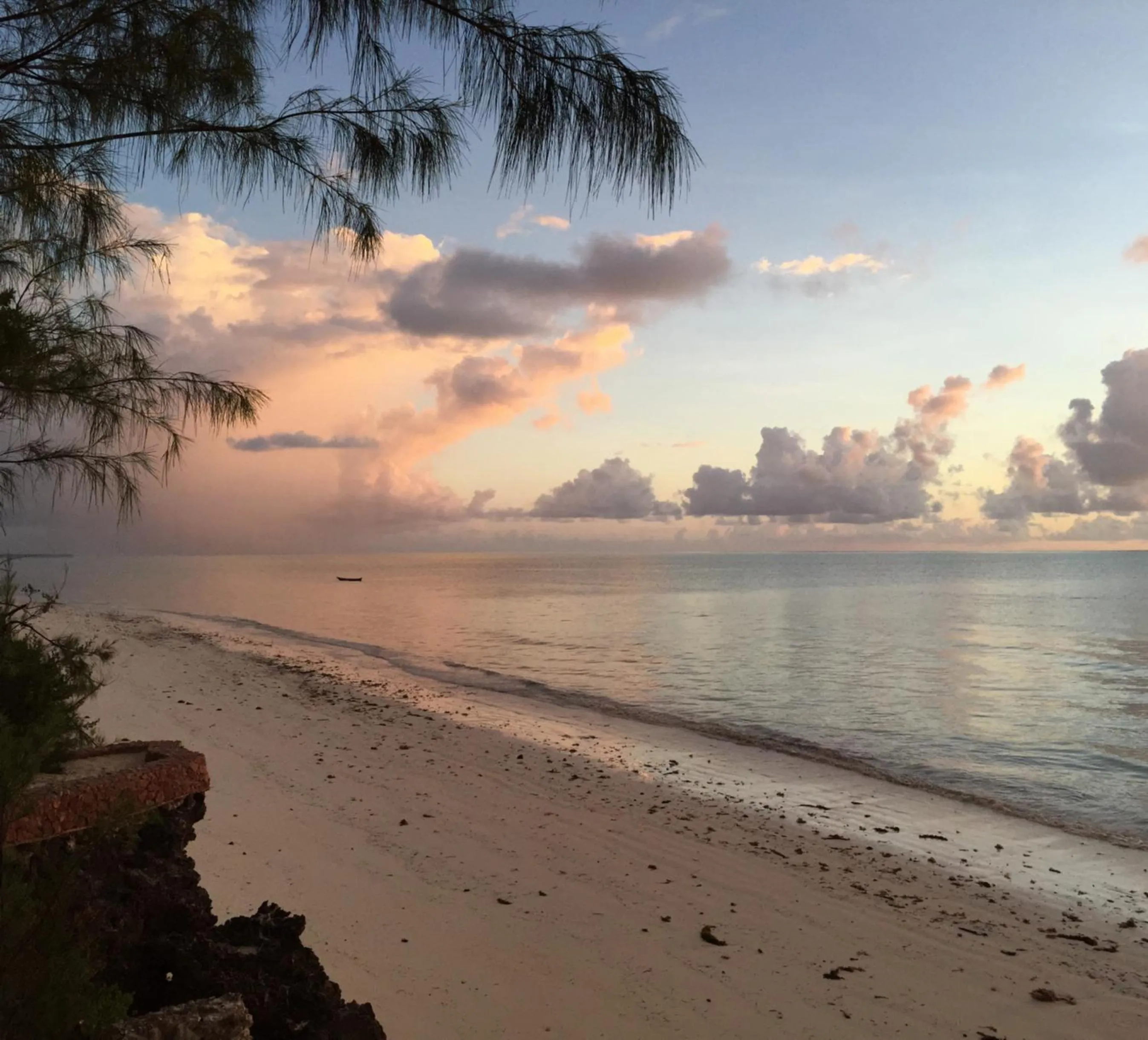 Garden in Mbuyuni Beach Village