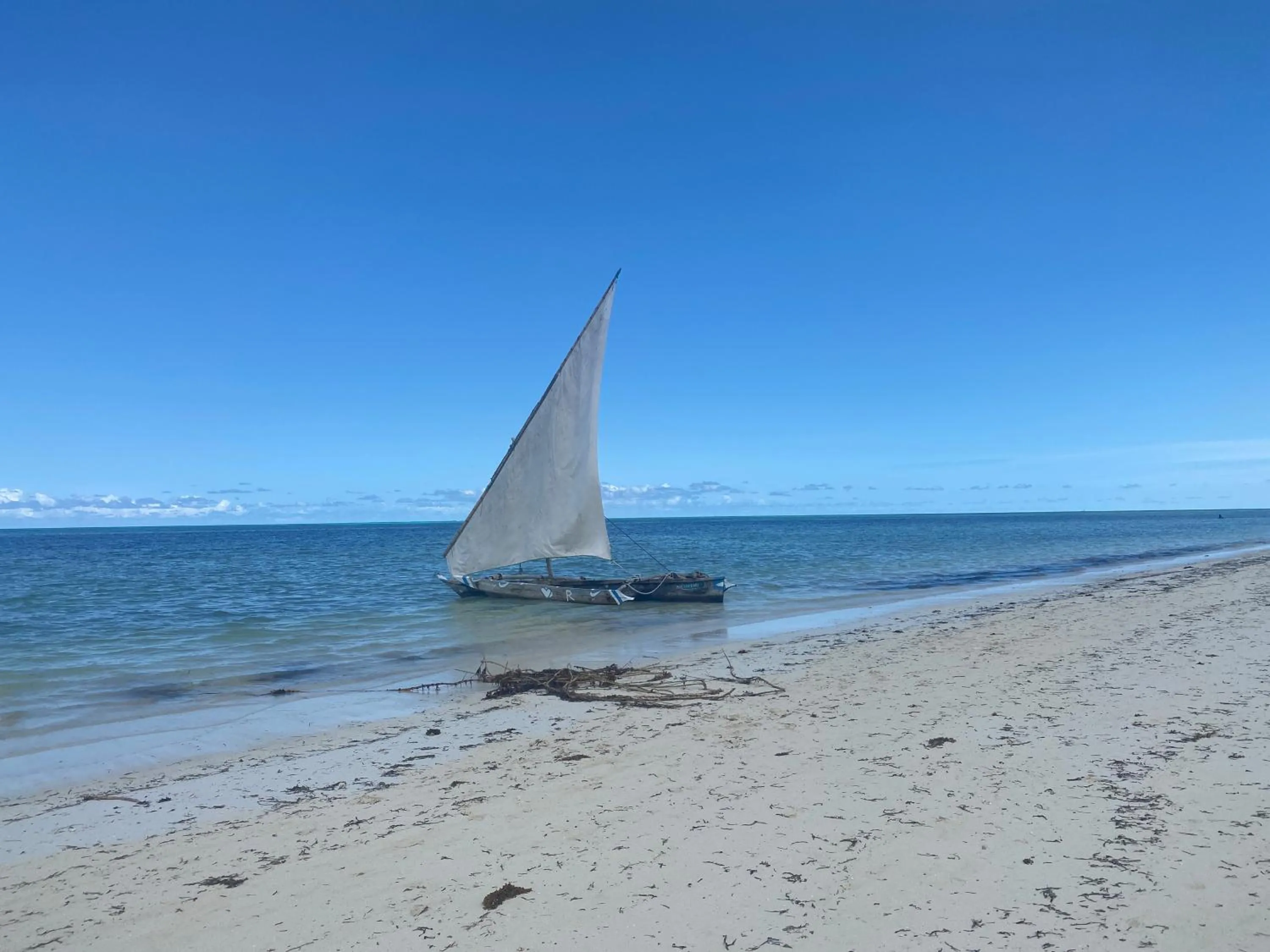 Beach in Mbuyuni Beach Village