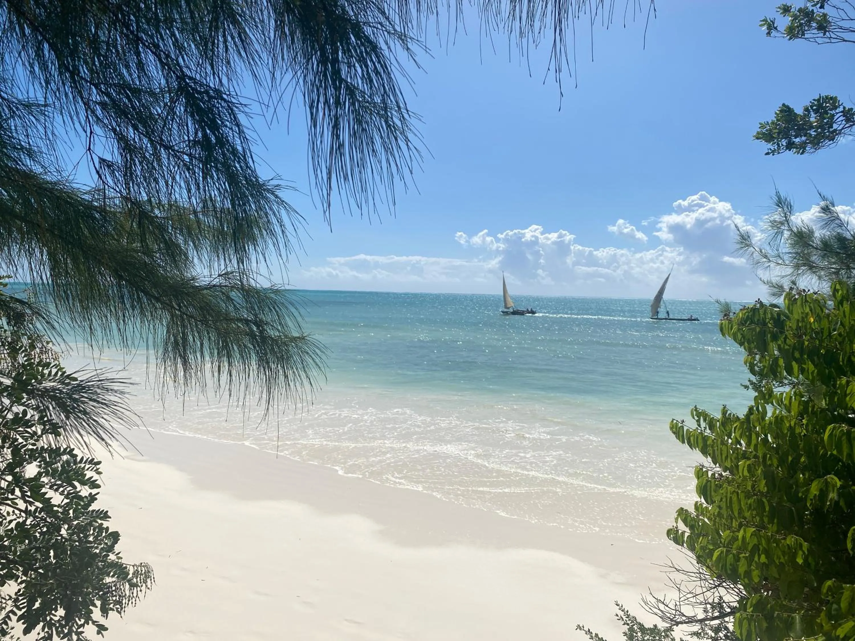 Beach in Mbuyuni Beach Village