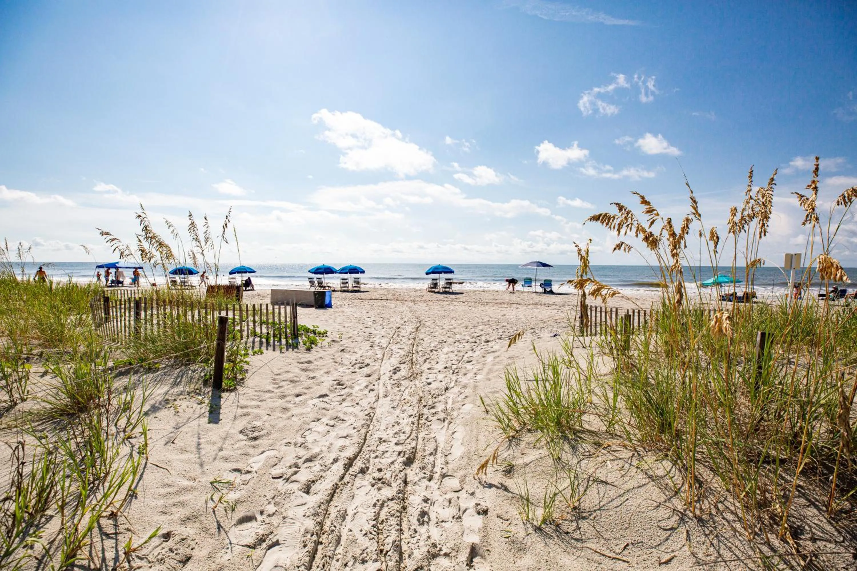 Day in Seawatch at Island Club