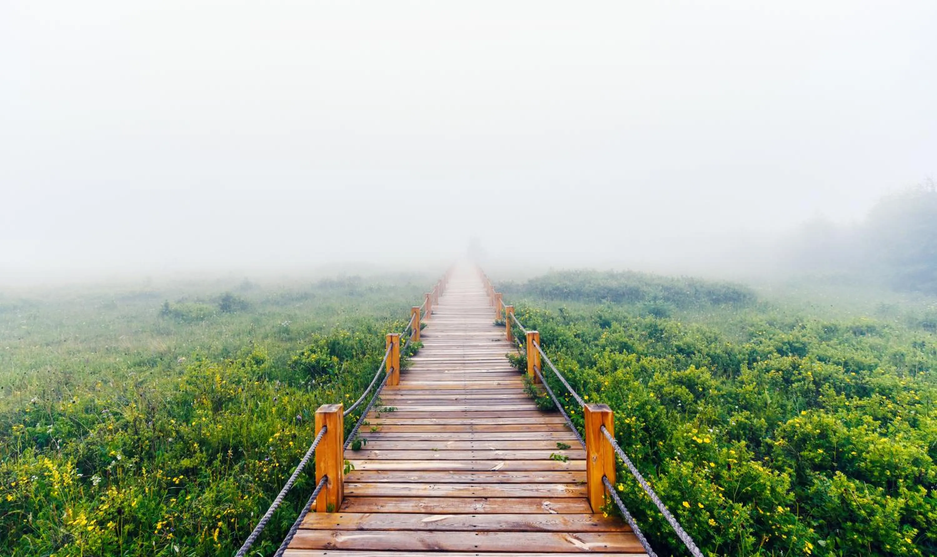 Other in Holiday Inn Express Chongli by IHG