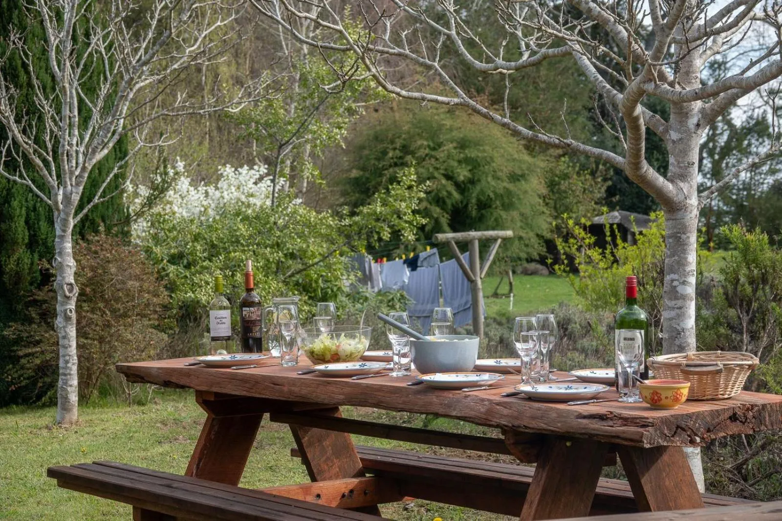 Garden in Hostal Zapato Amarillo