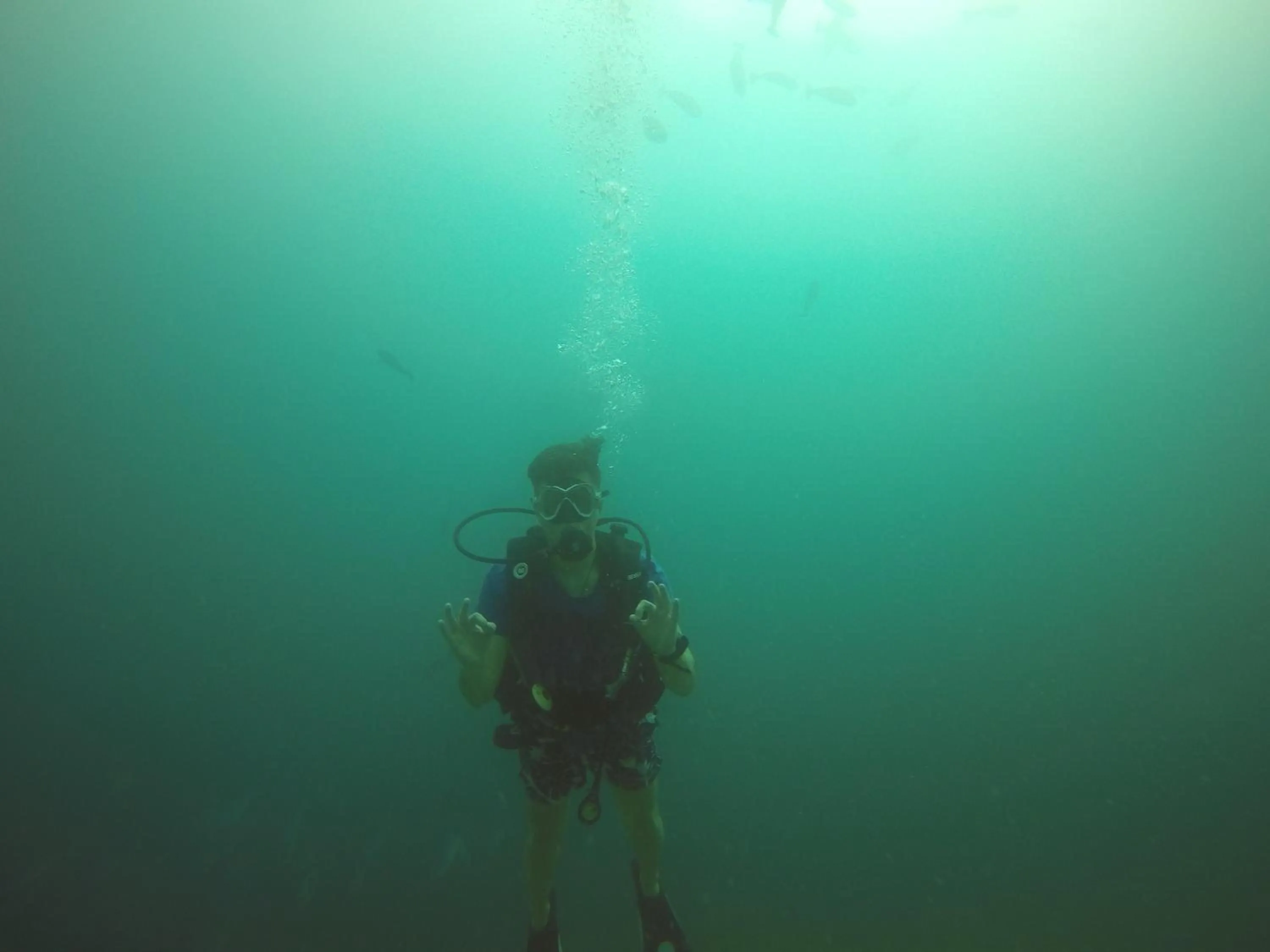 Diving in Origami Inn Himandhoo