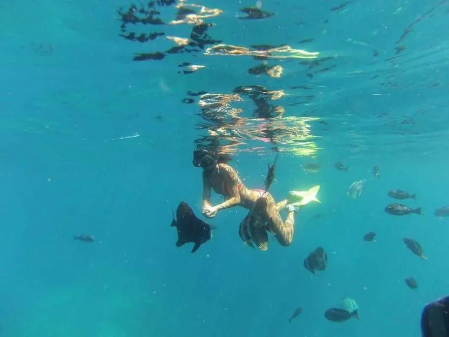 Diving in Origami Inn Himandhoo