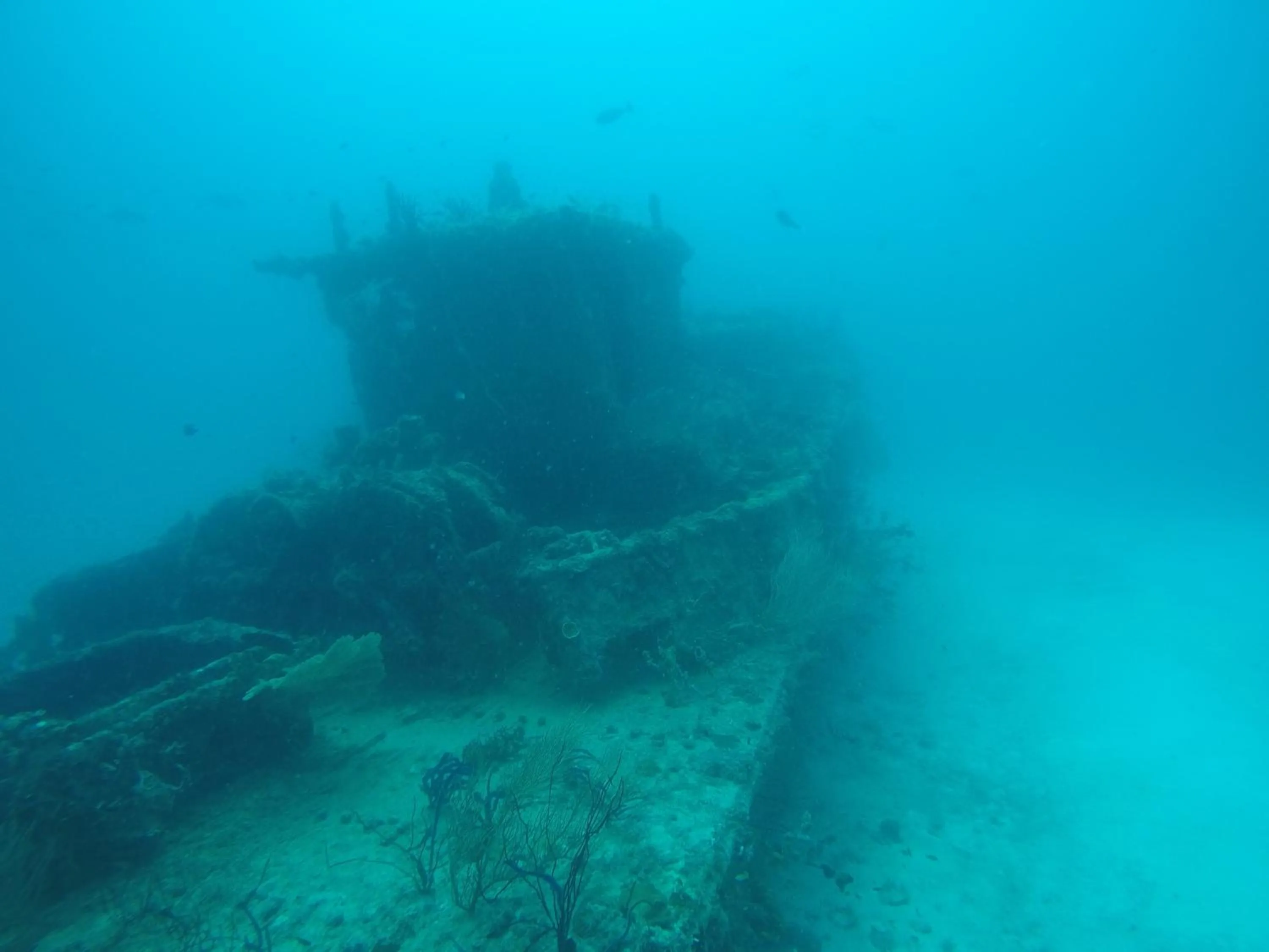 Diving in Origami Inn Himandhoo