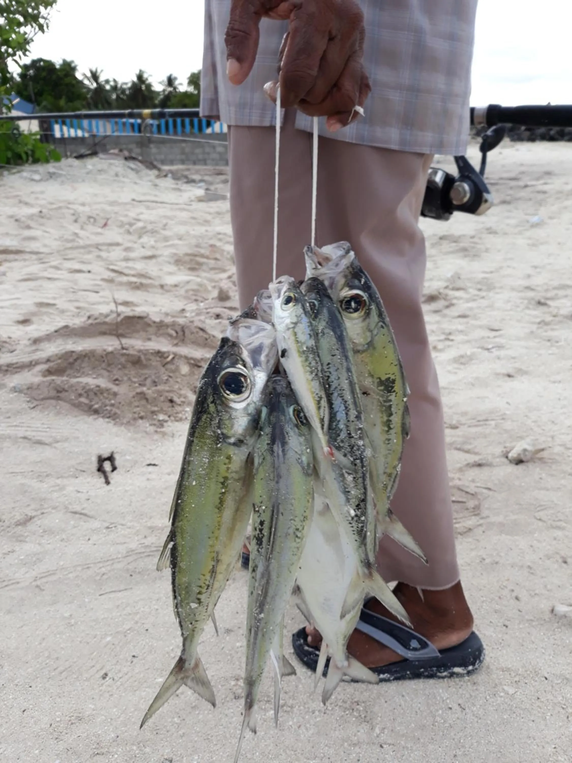 Fishing in Origami Inn Himandhoo