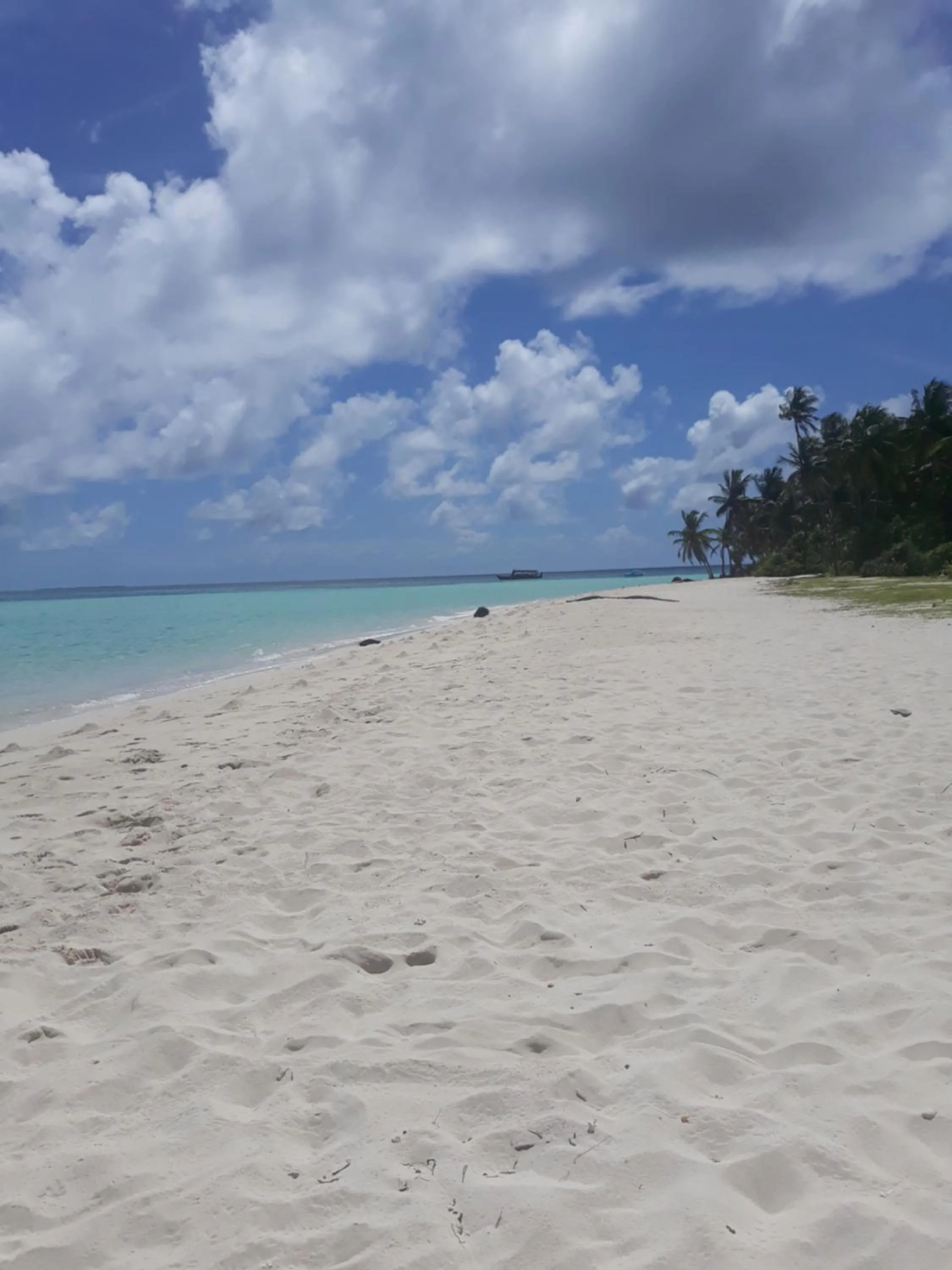Beach in Origami Inn Himandhoo