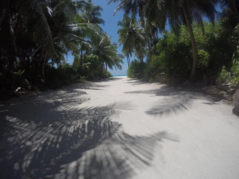 Natural landscape in Origami Inn Himandhoo