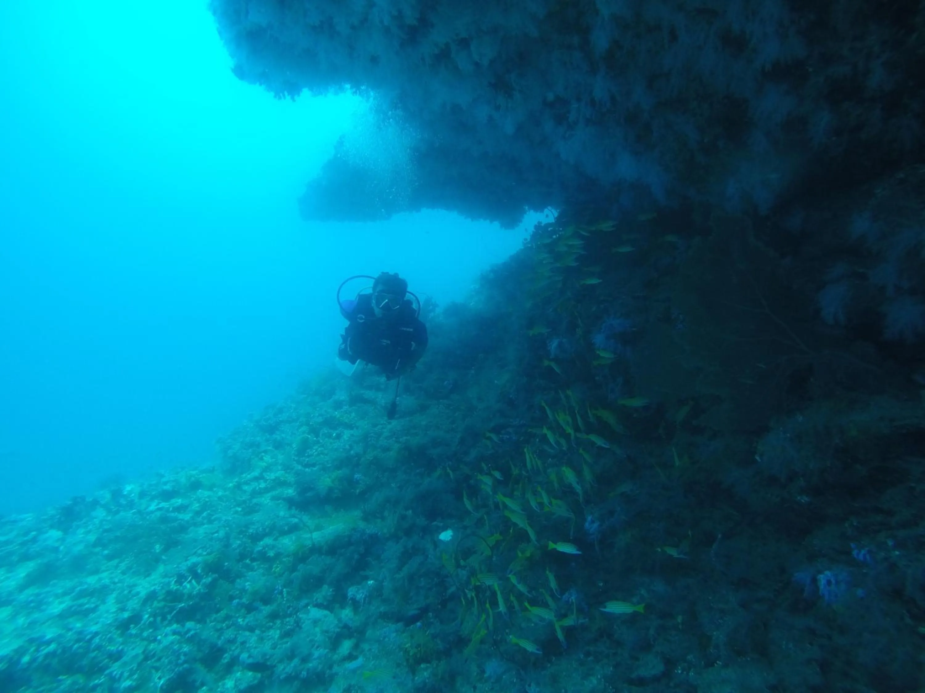 Diving in Origami Inn Himandhoo
