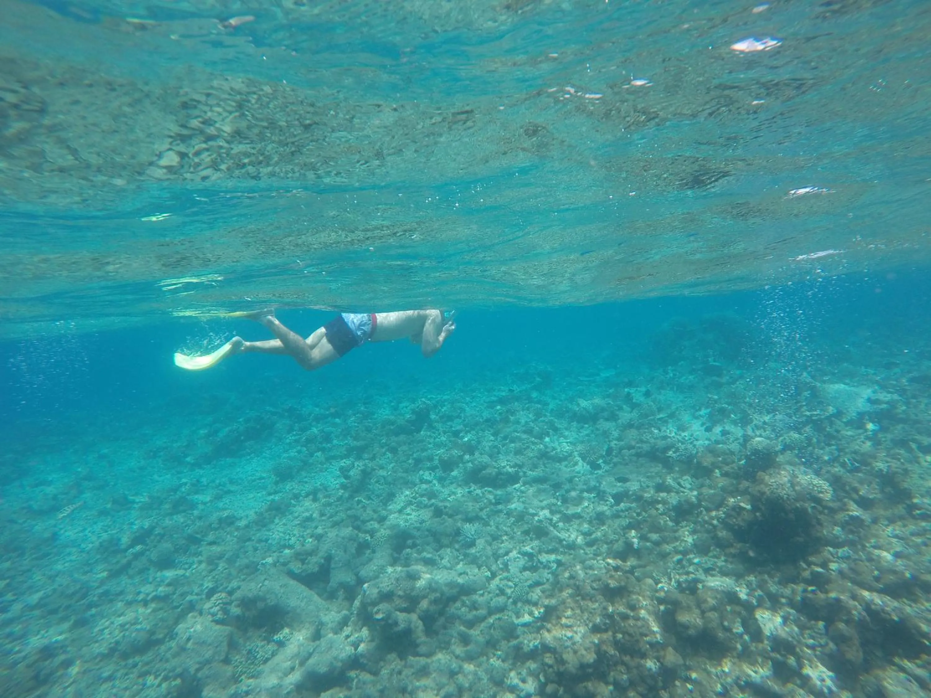 Snorkeling in Origami Inn Himandhoo