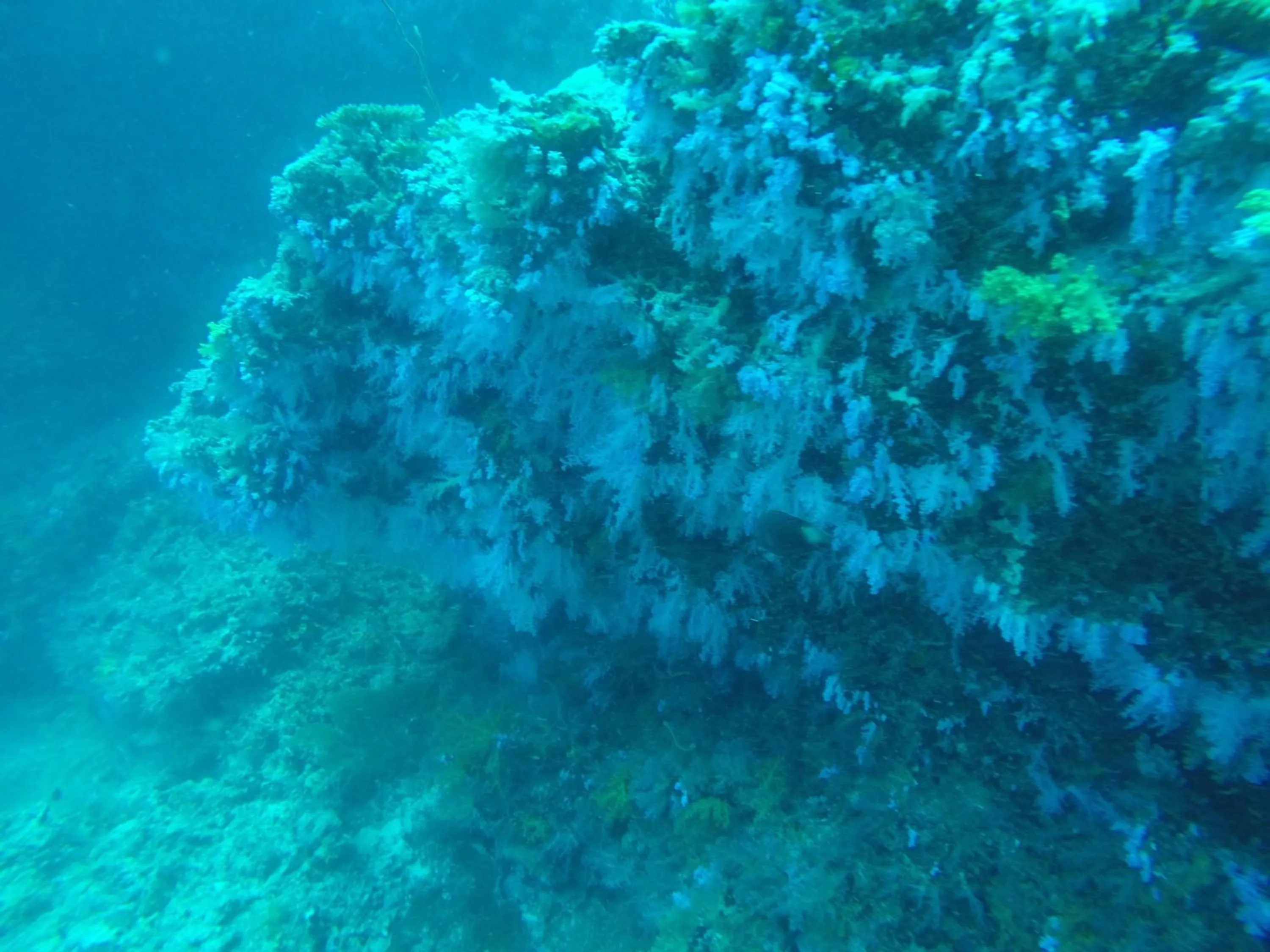 Natural landscape in Origami Inn Himandhoo