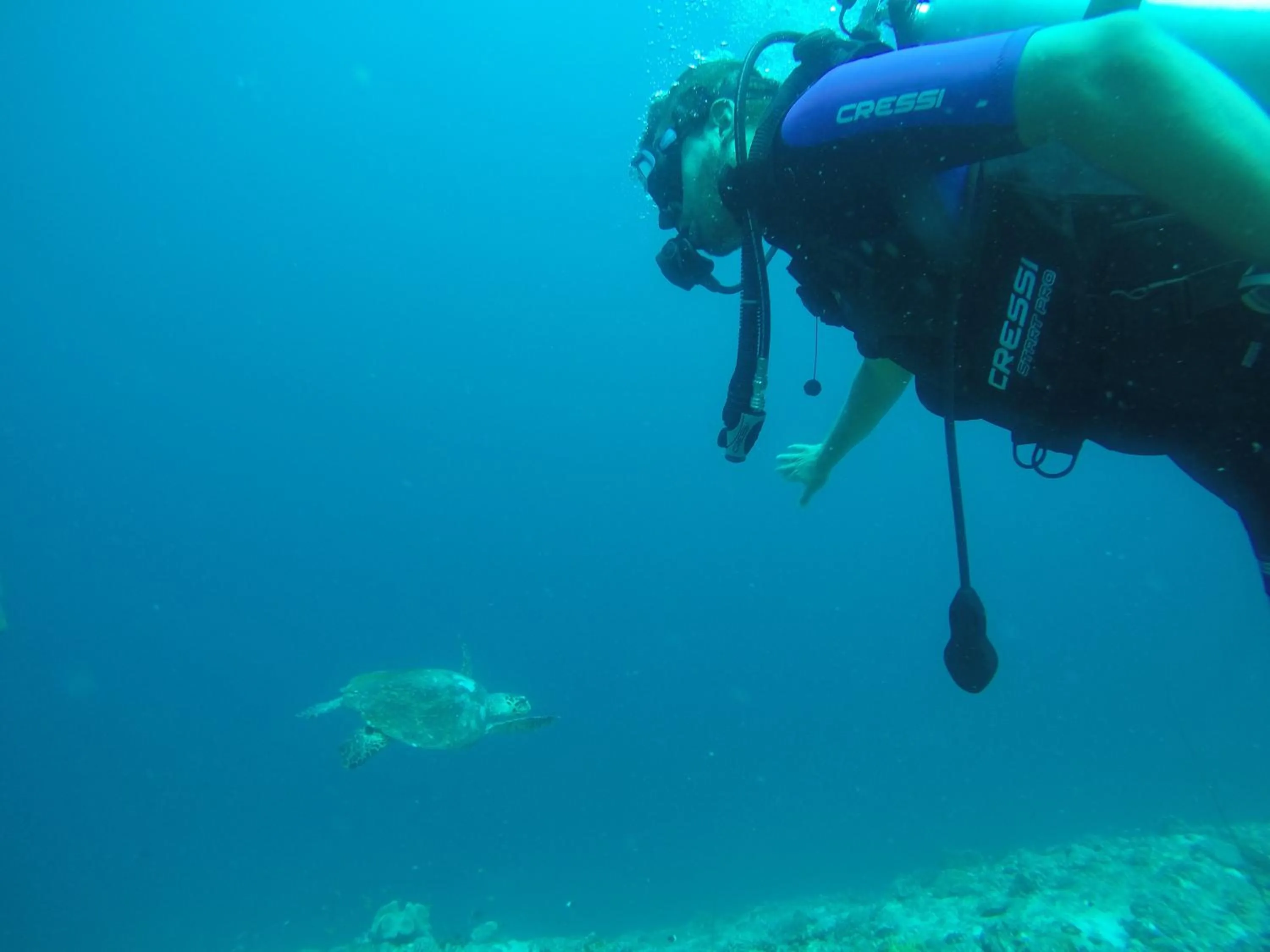 Diving in Origami Inn Himandhoo