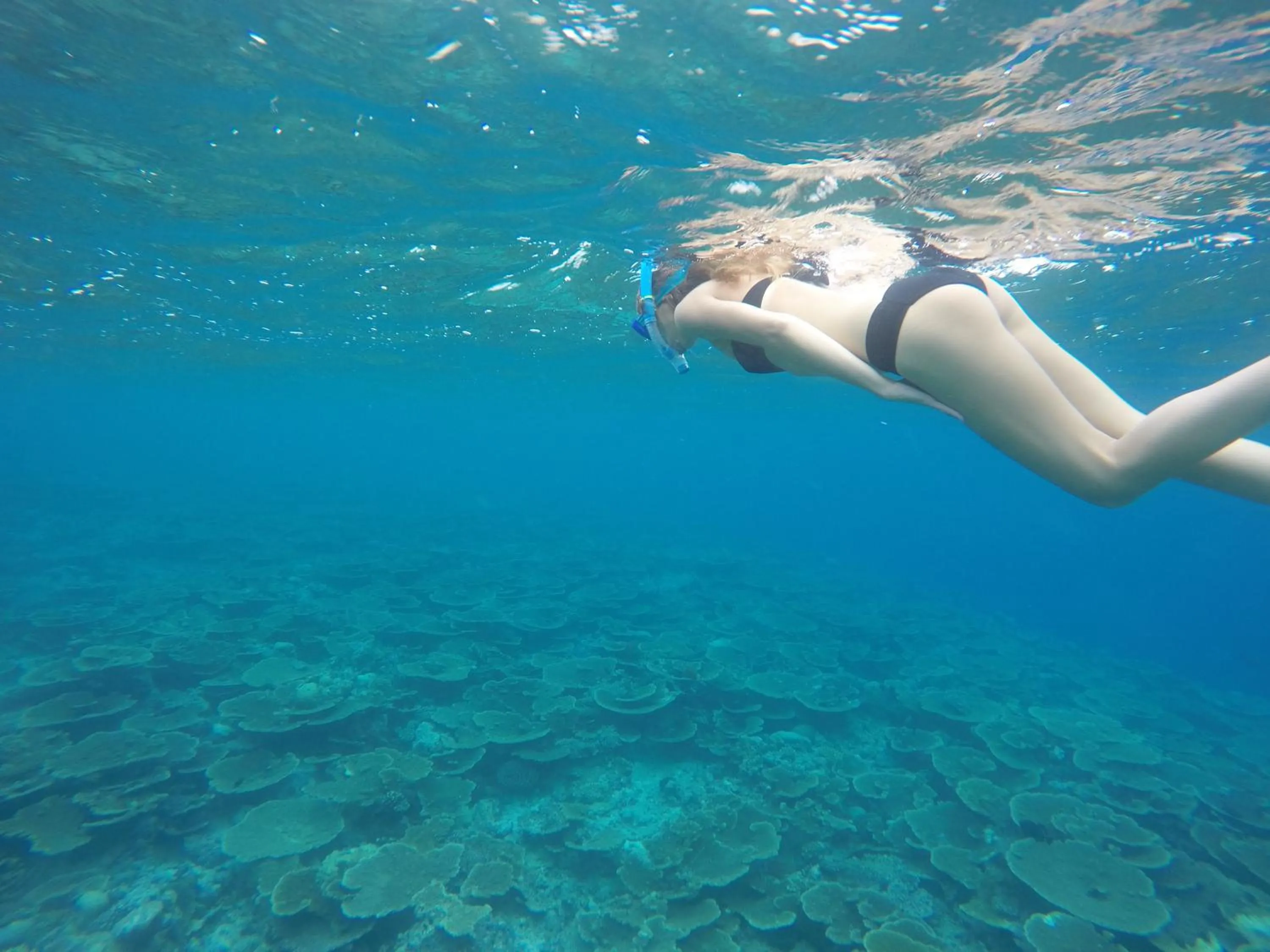 Snorkeling in Origami Inn Himandhoo
