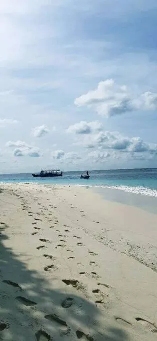 Beach in Origami Inn Himandhoo