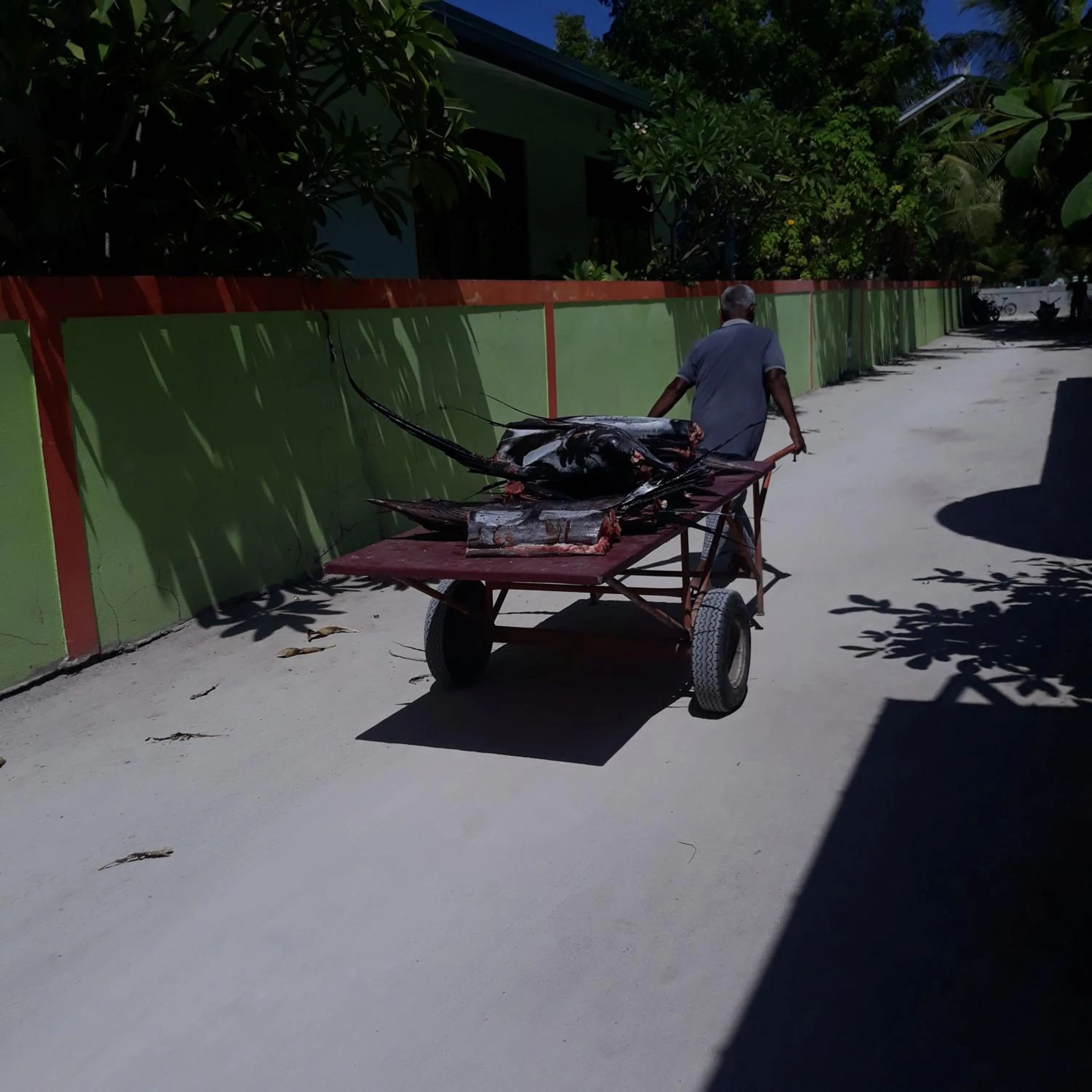 Fishing in Origami Inn Himandhoo