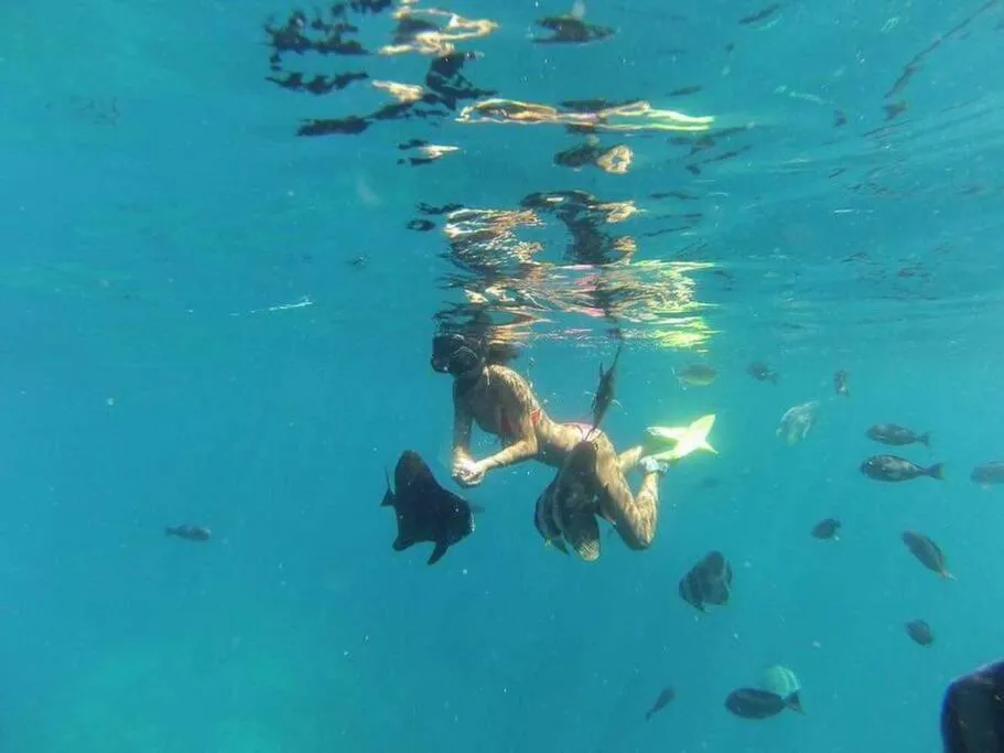 Diving in Origami Inn Himandhoo