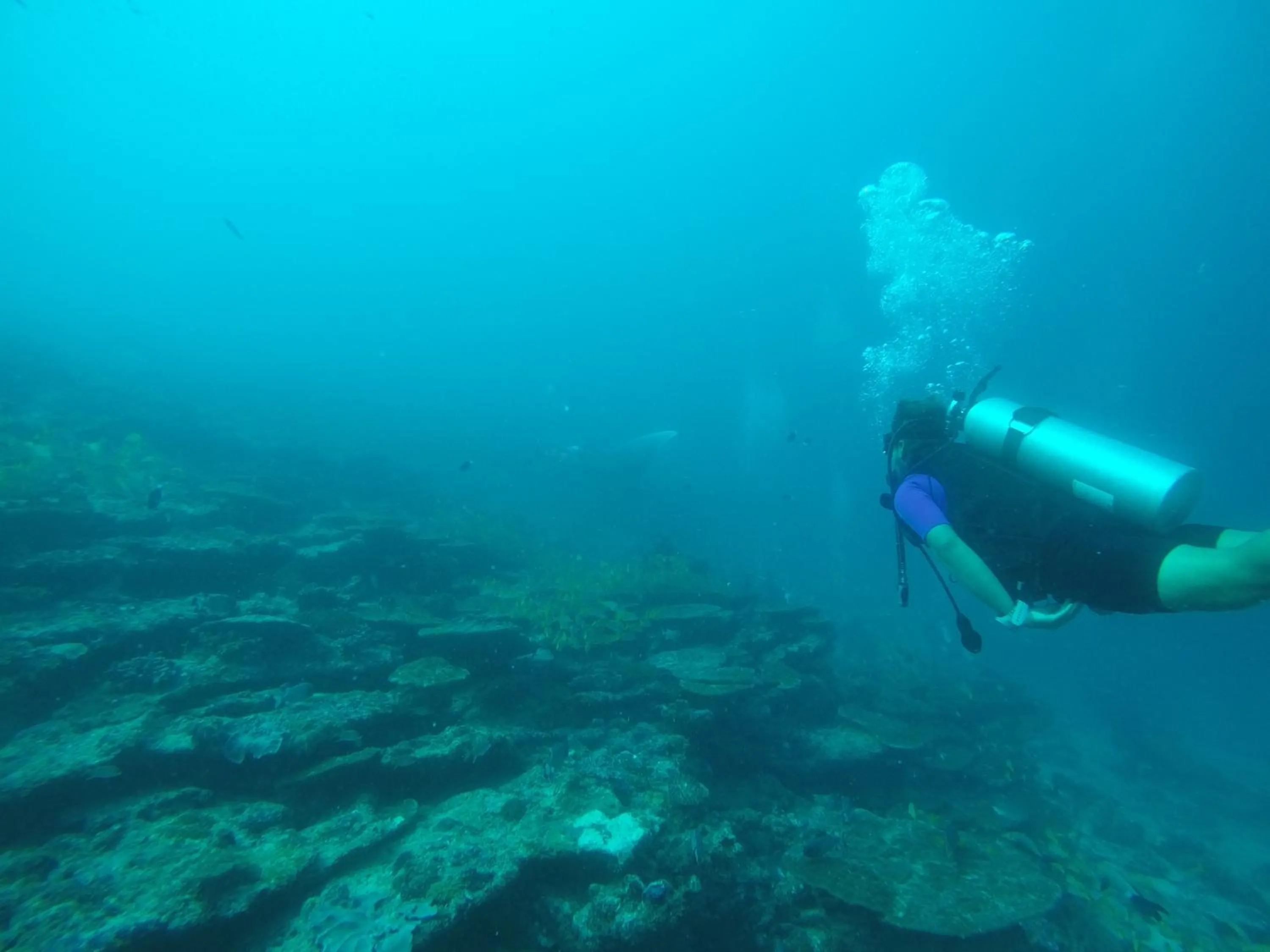 Diving in Origami Inn Himandhoo