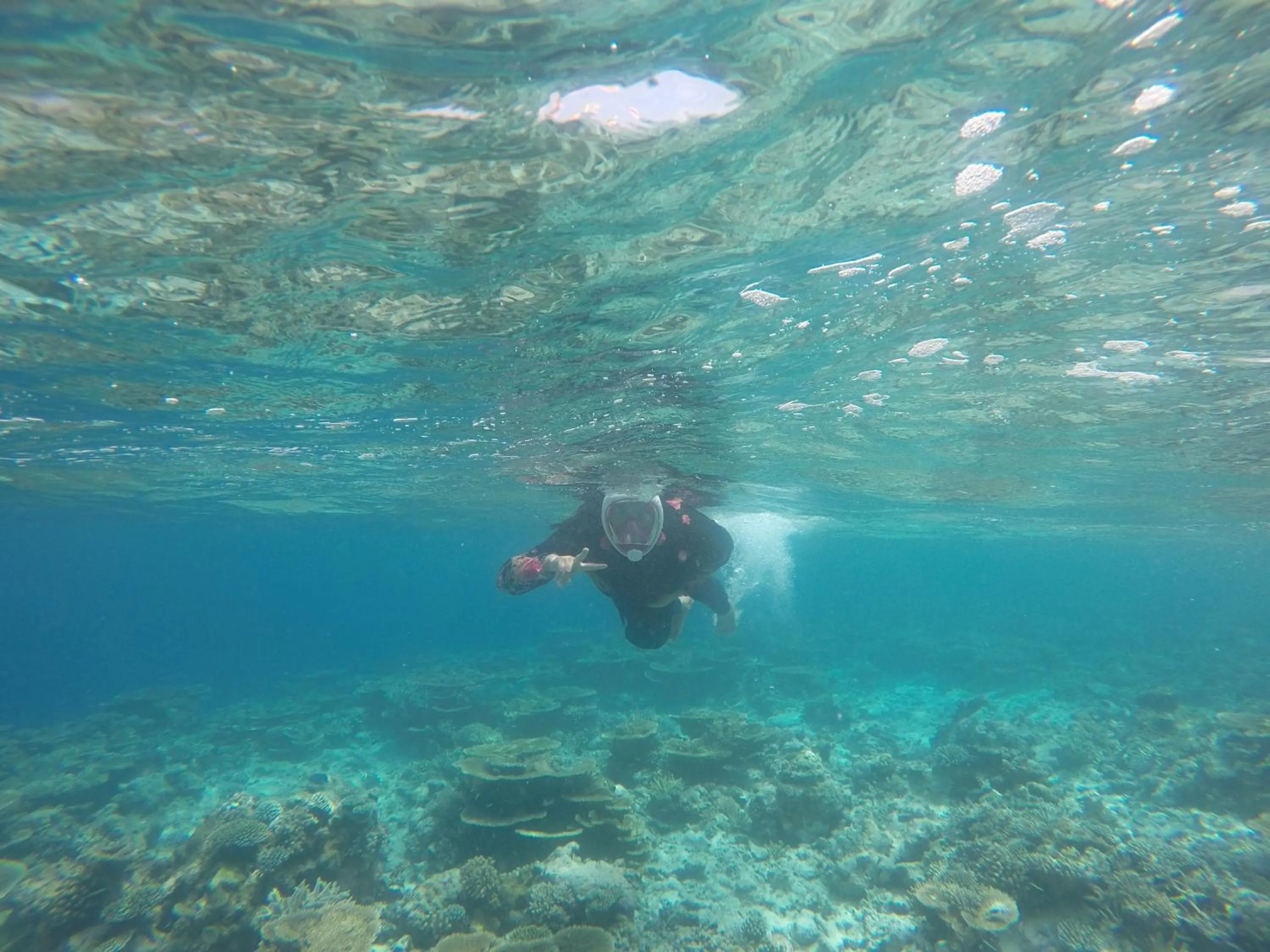Snorkeling in Origami Inn Himandhoo
