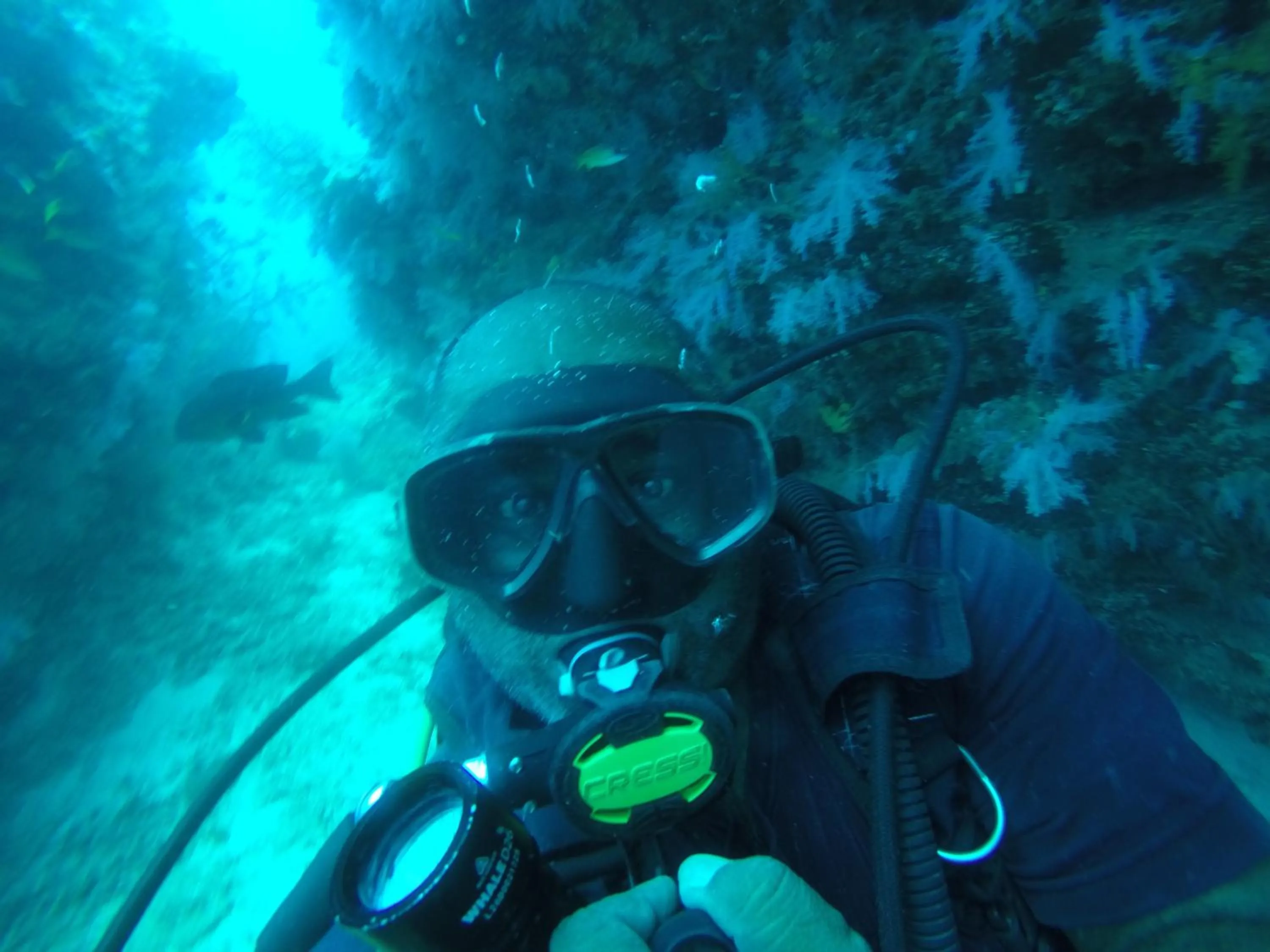 Diving in Origami Inn Himandhoo