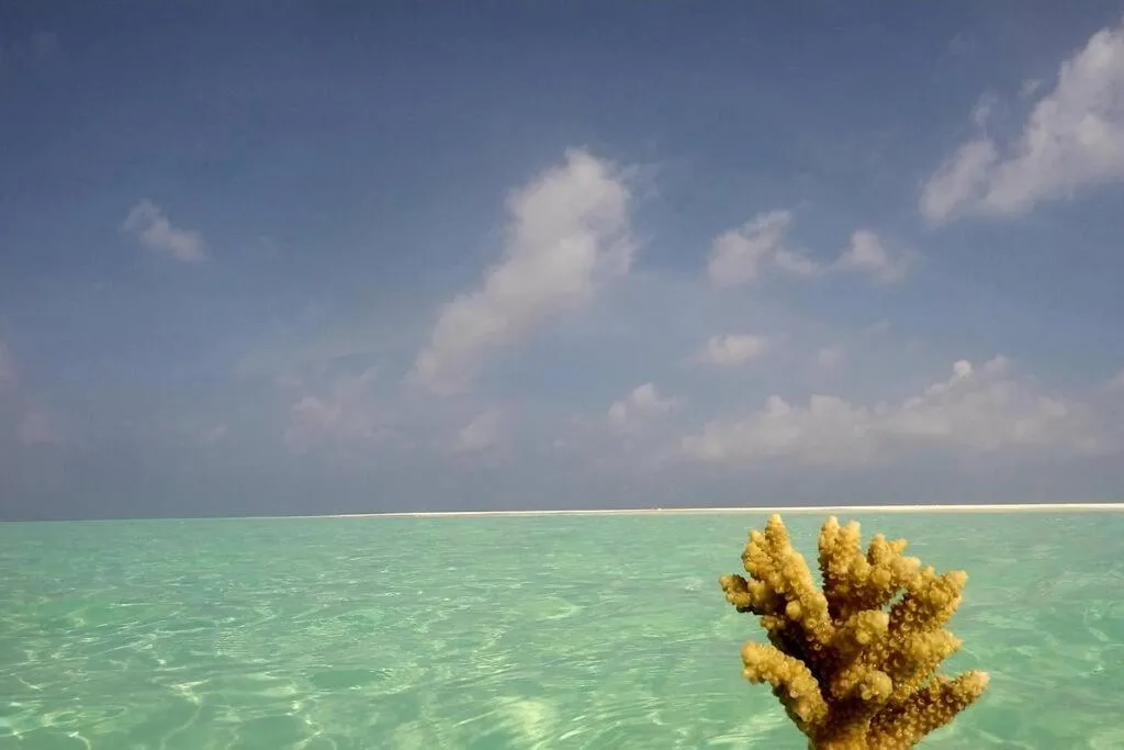 Sea view in Origami Inn Himandhoo