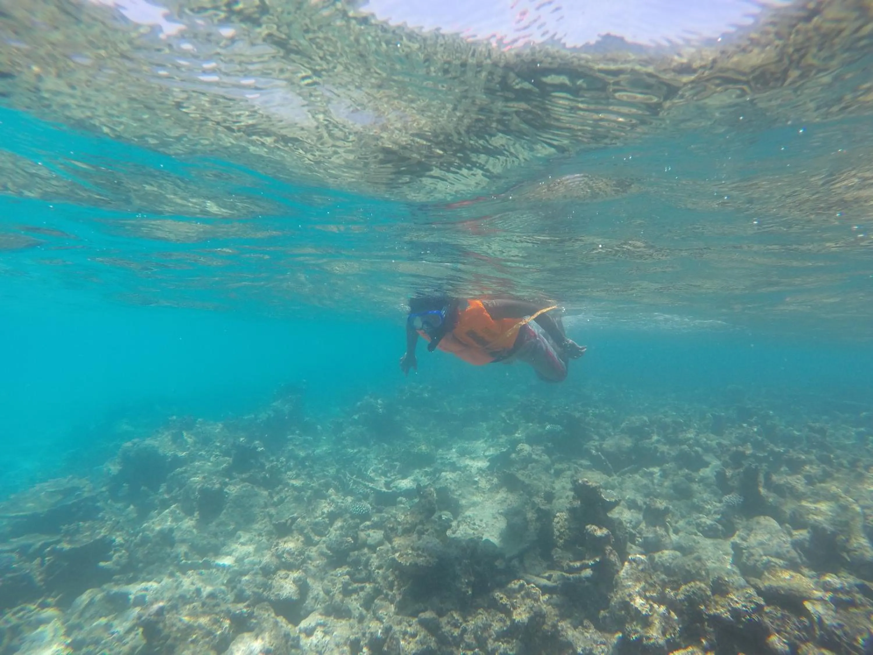 Activities in Origami Inn Himandhoo