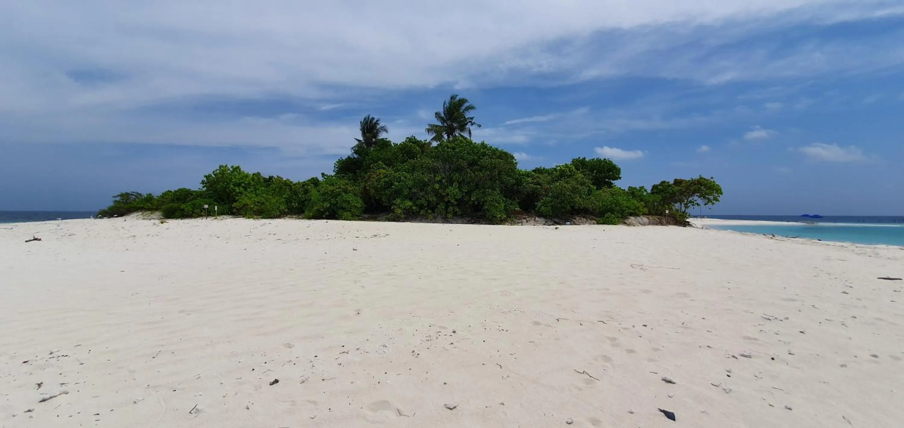 Activities in Origami Inn Himandhoo