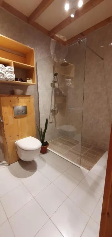 Toilet in Origami Inn Himandhoo