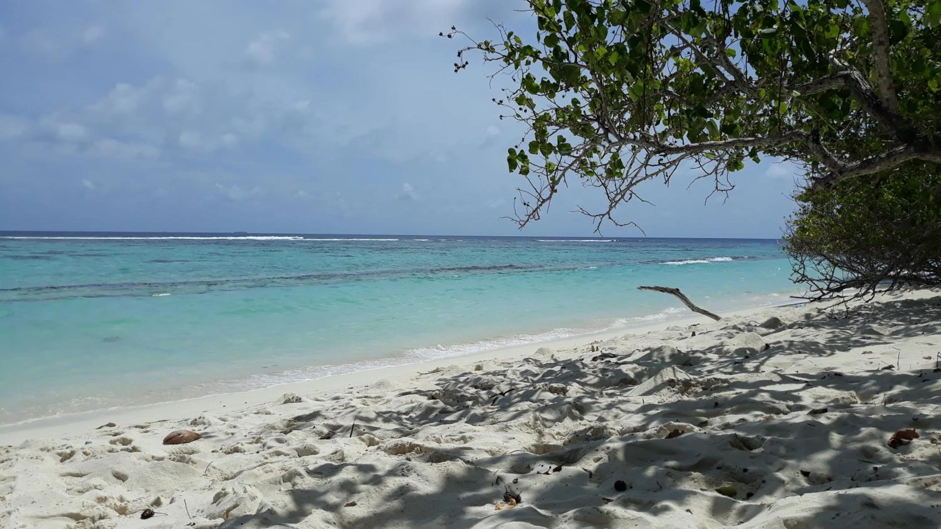 Beach in Origami Inn Himandhoo