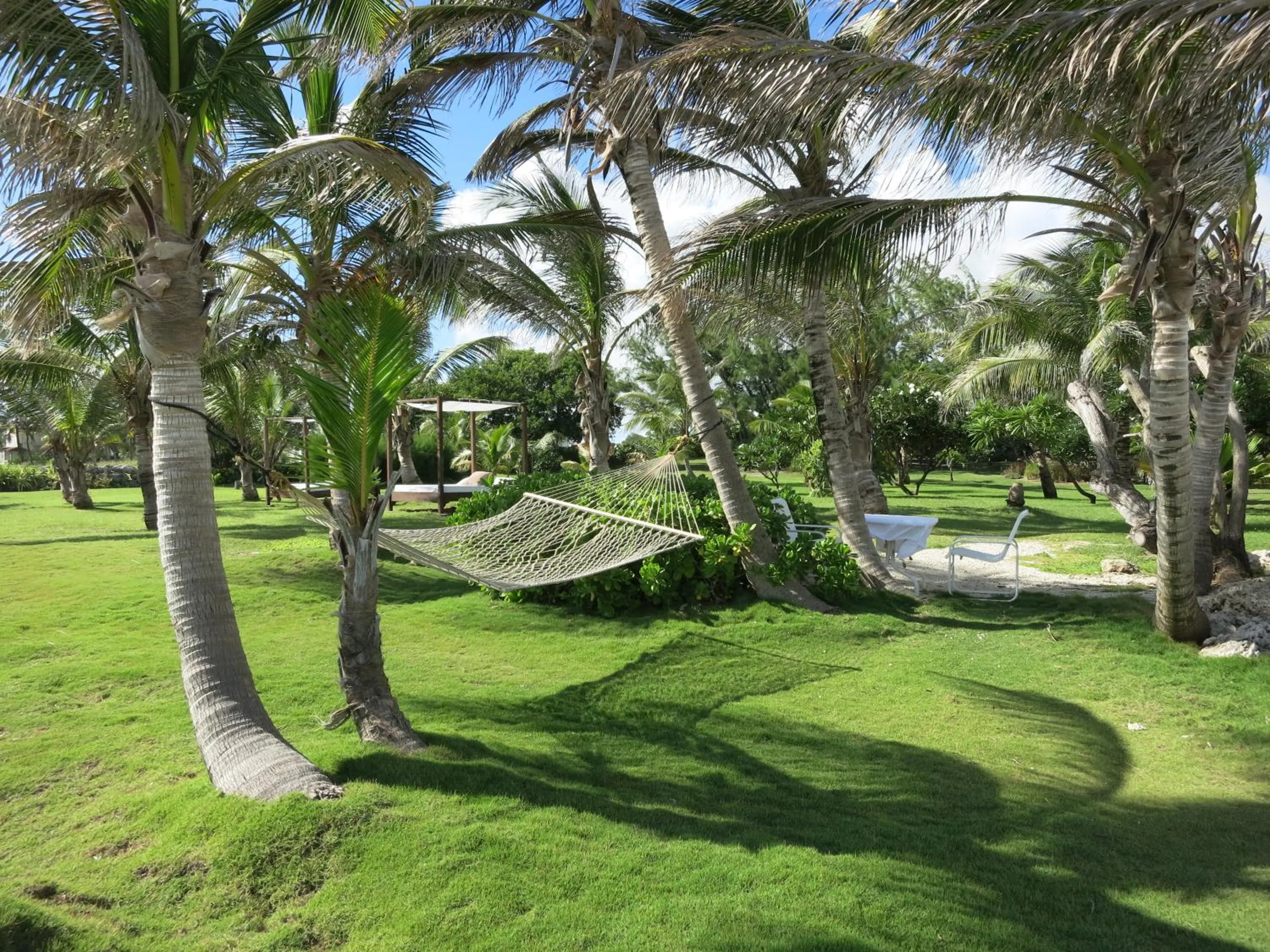 Garden in Inchcape Seaside Villas