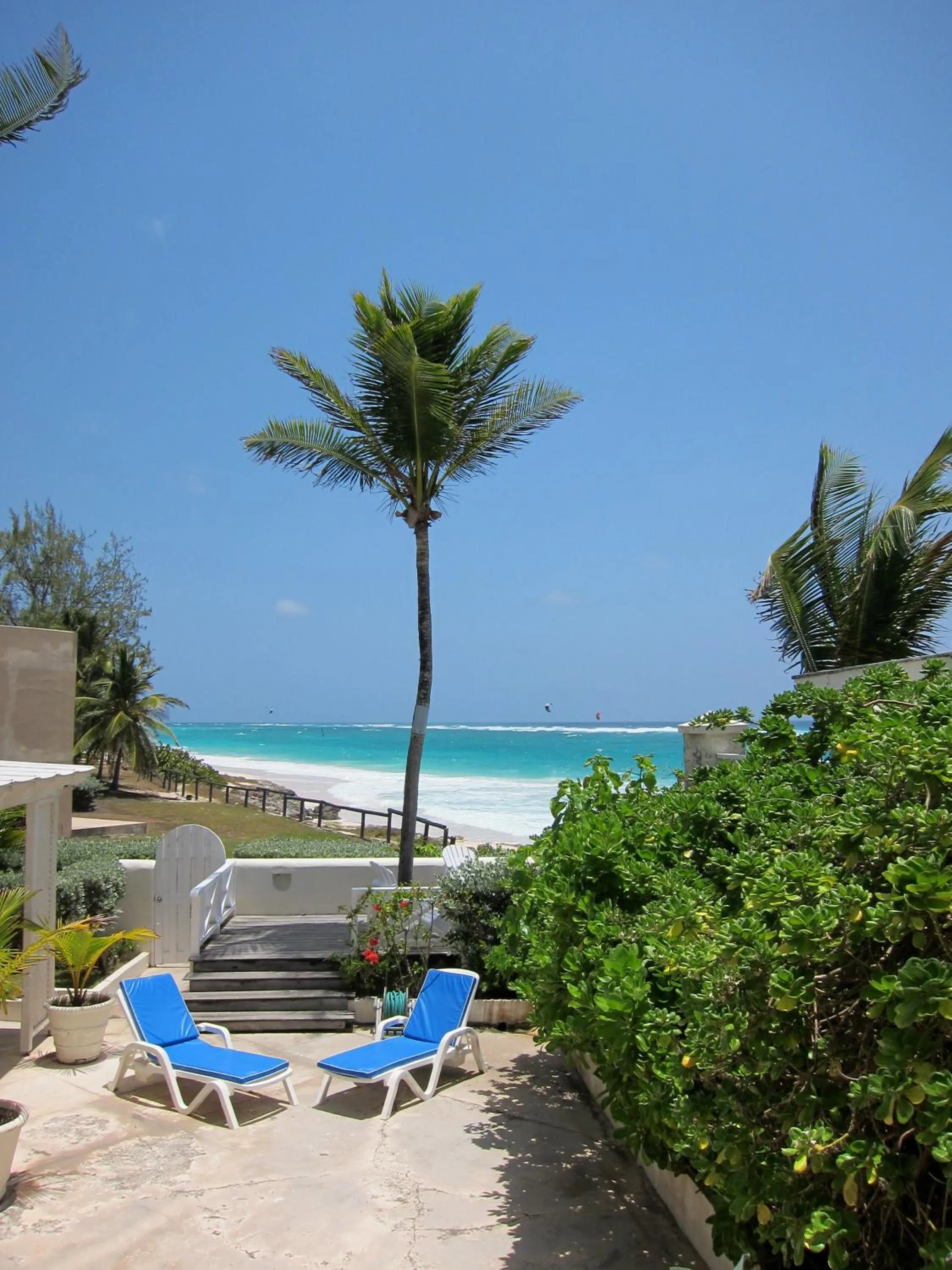 Garden in Inchcape Seaside Villas