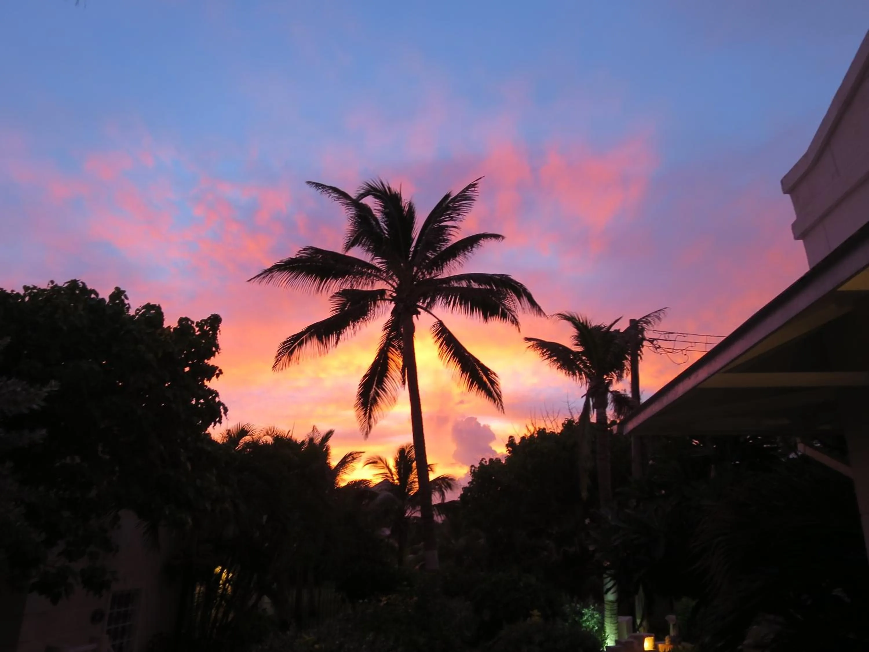 View (from property/room) in Inchcape Seaside Villas
