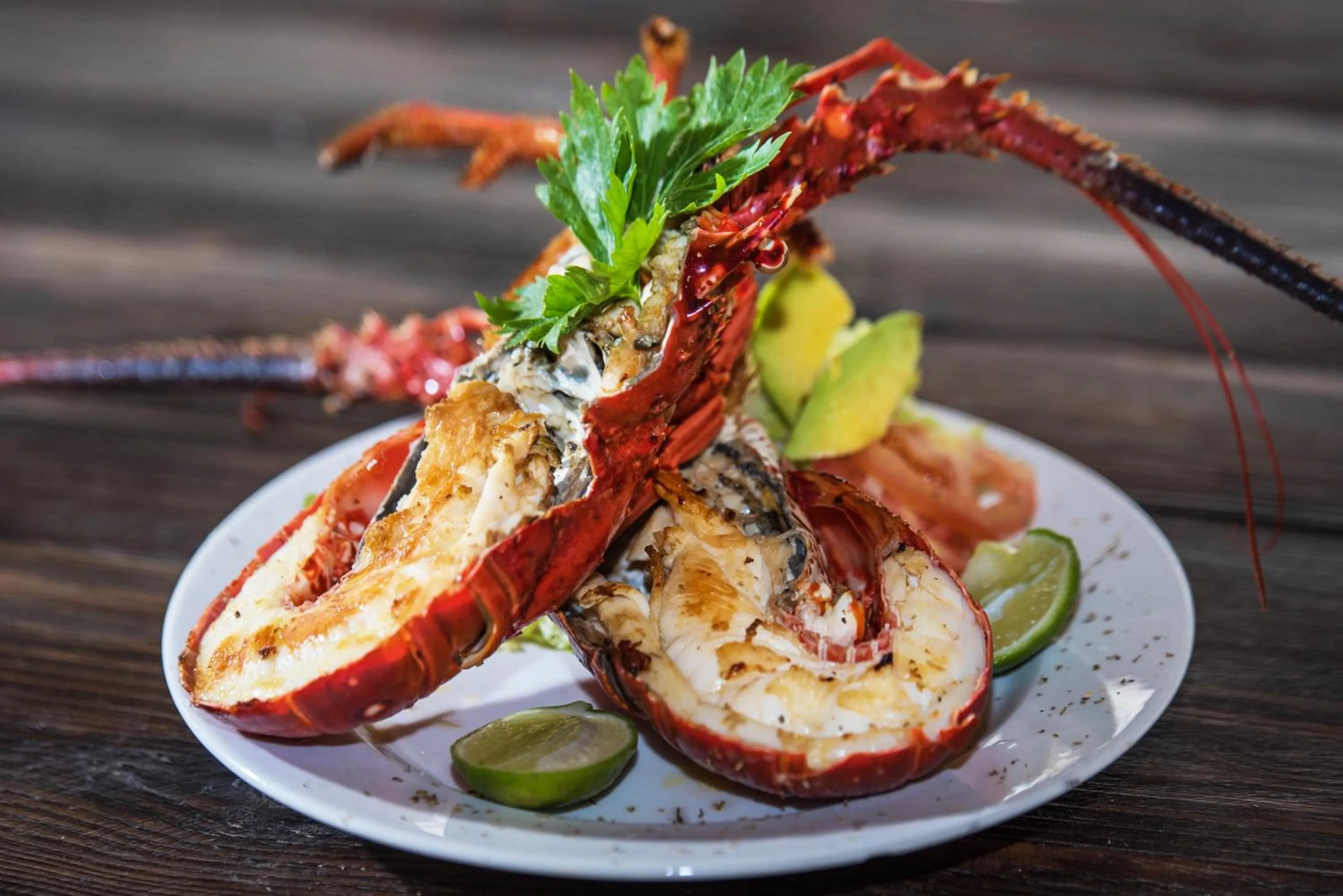 Food in Hotel Isla del Sol