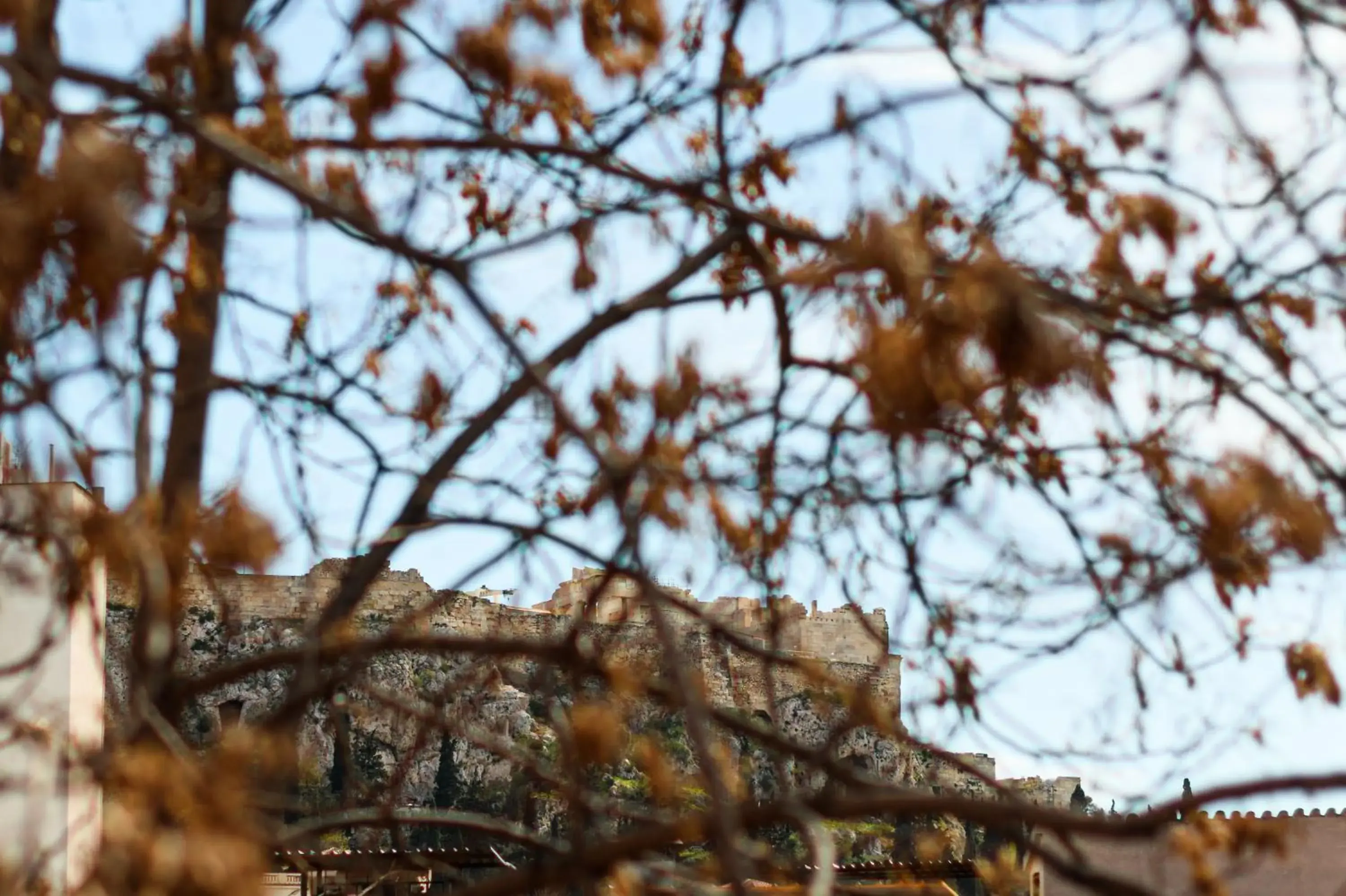 View (from property/room) in Snob Athens View (from property/room) in Snob Athens