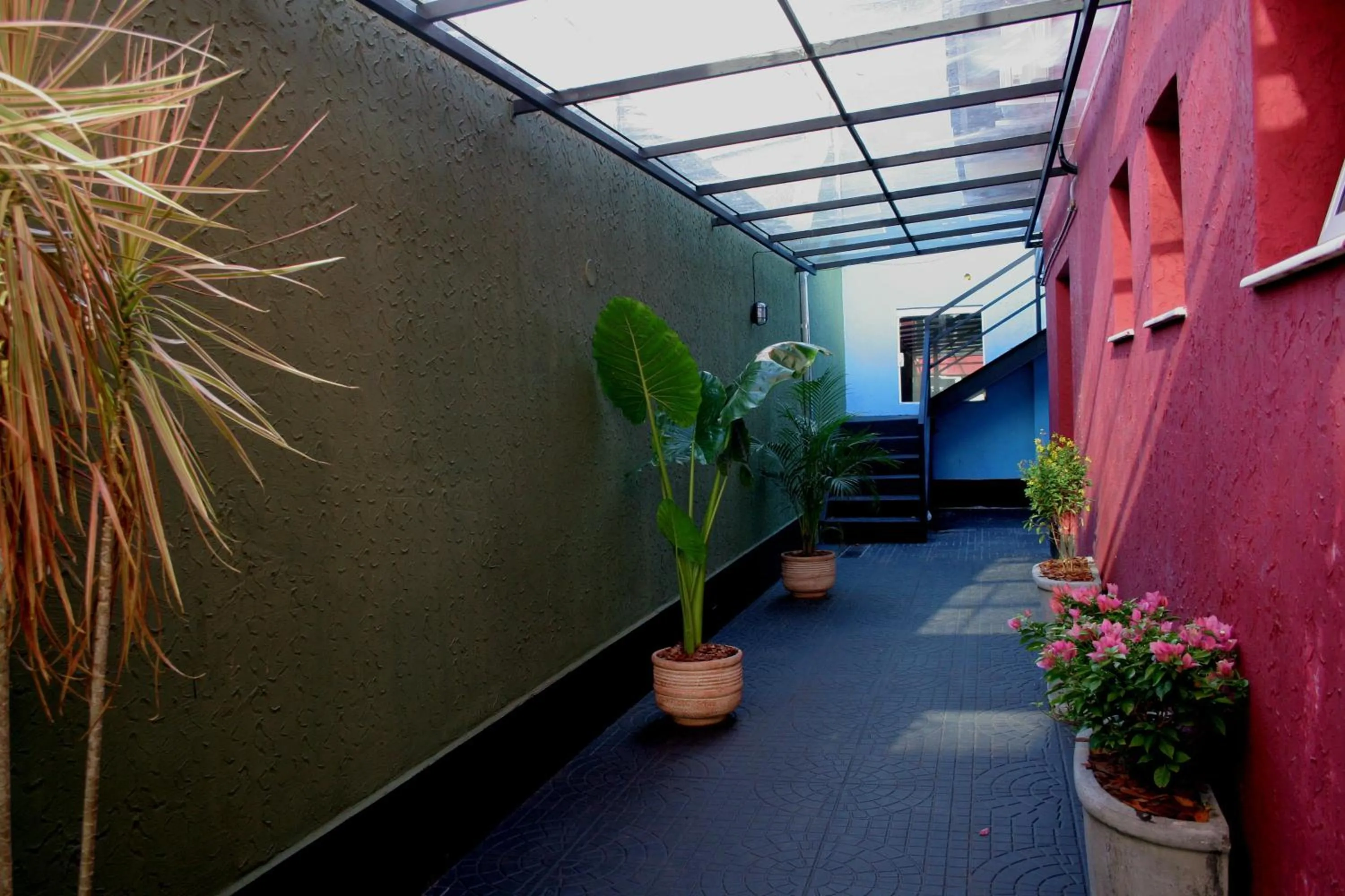 Patio in Viva Hostel Design