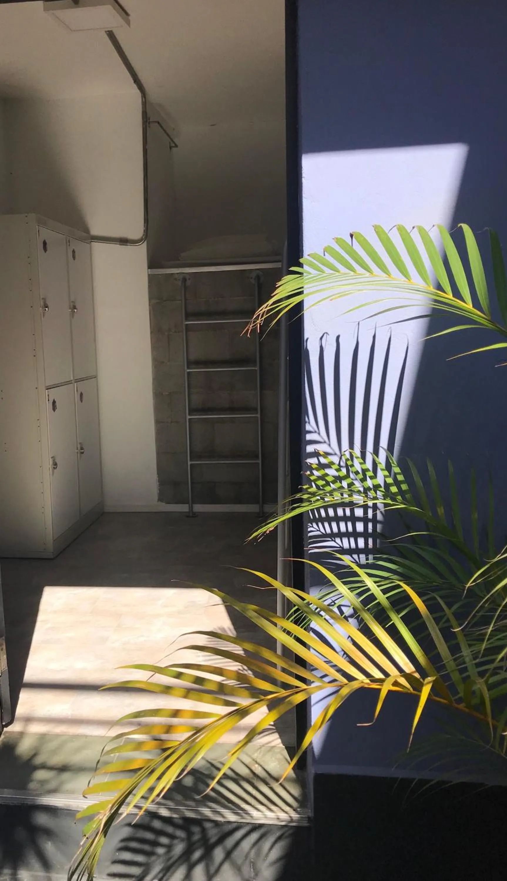 bunk bed in Viva Hostel Design