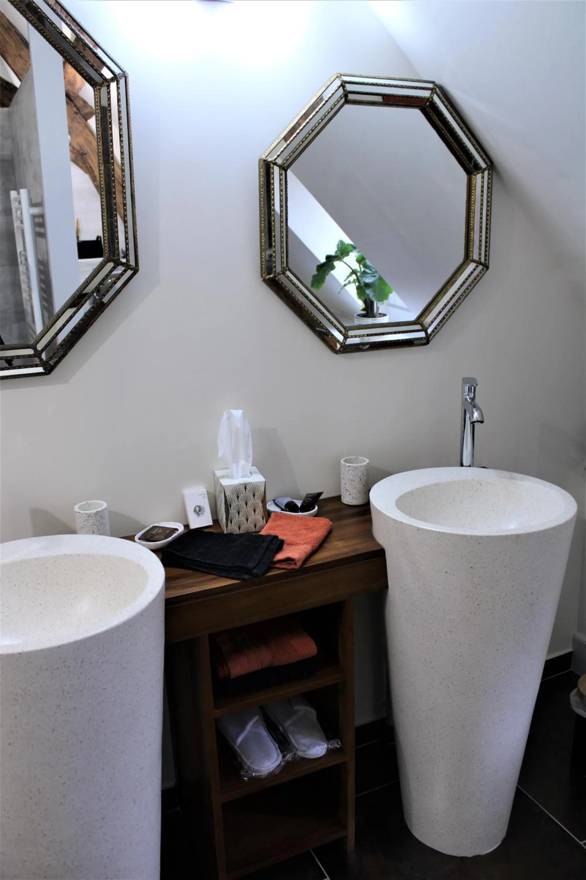 Shower in Chambre d'hôtes "Au bord de Loire"