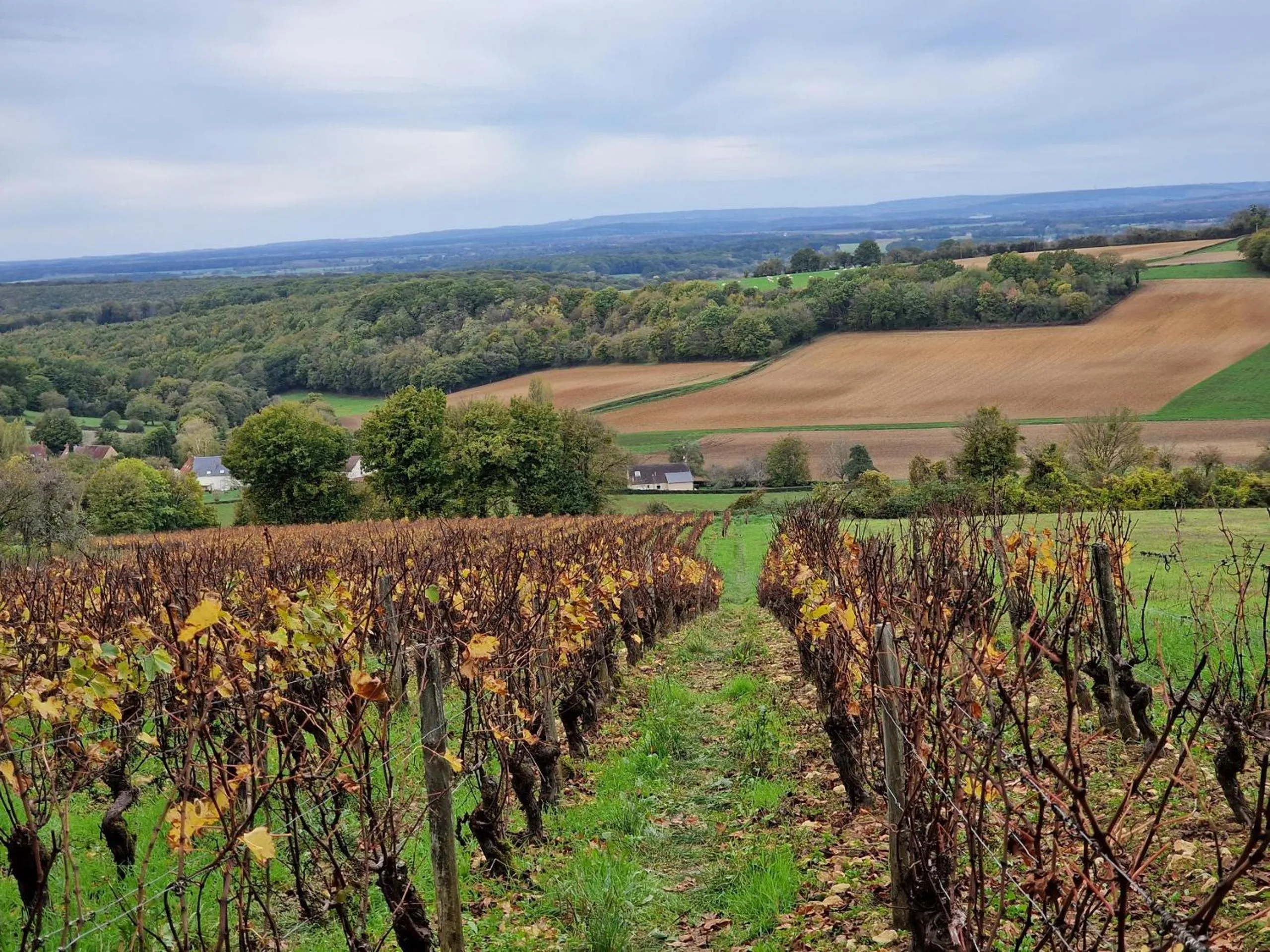 Day in Chambre d'hôtes "Au bord de Loire"