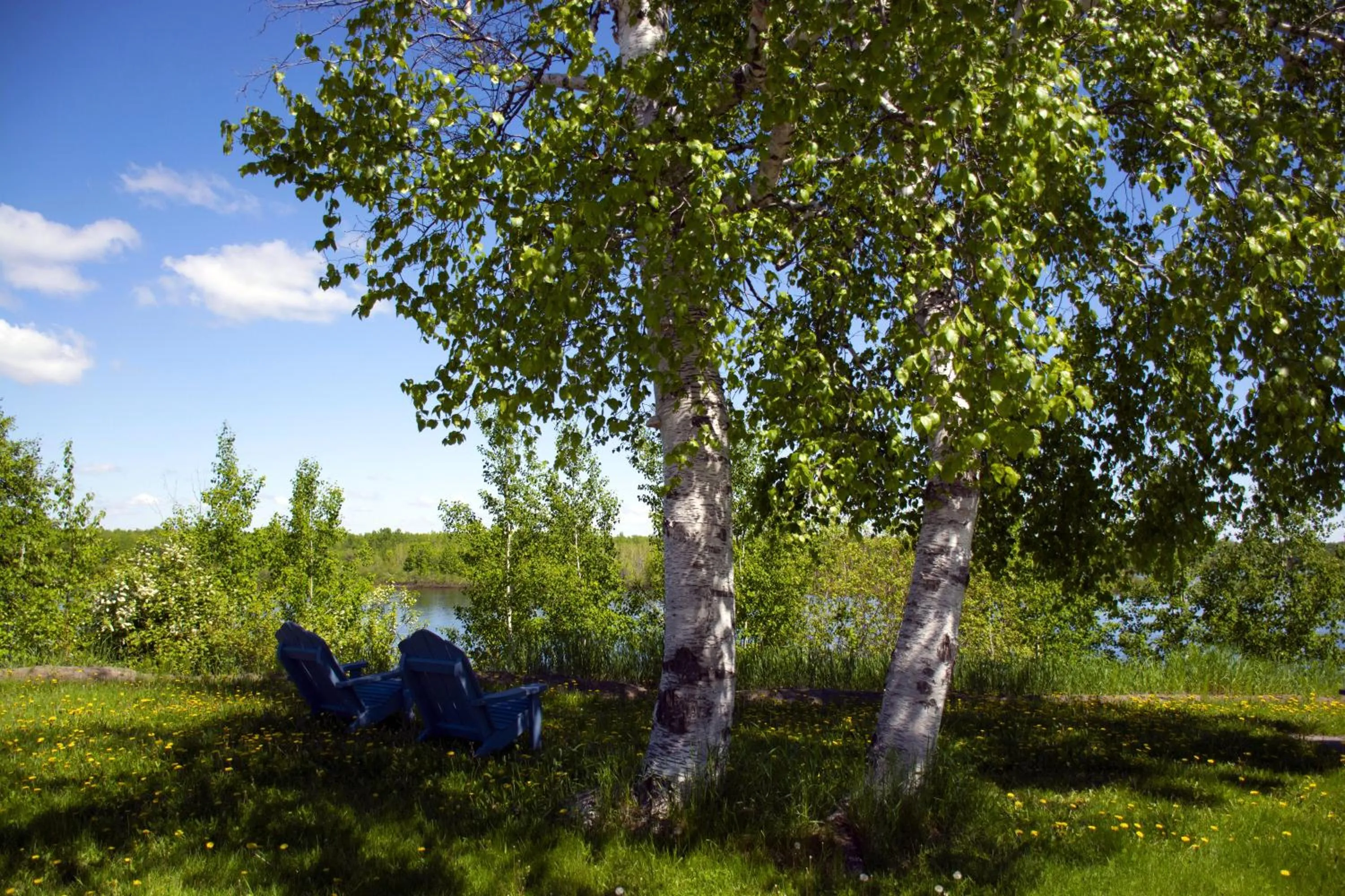 Seating area in Motel Moreau