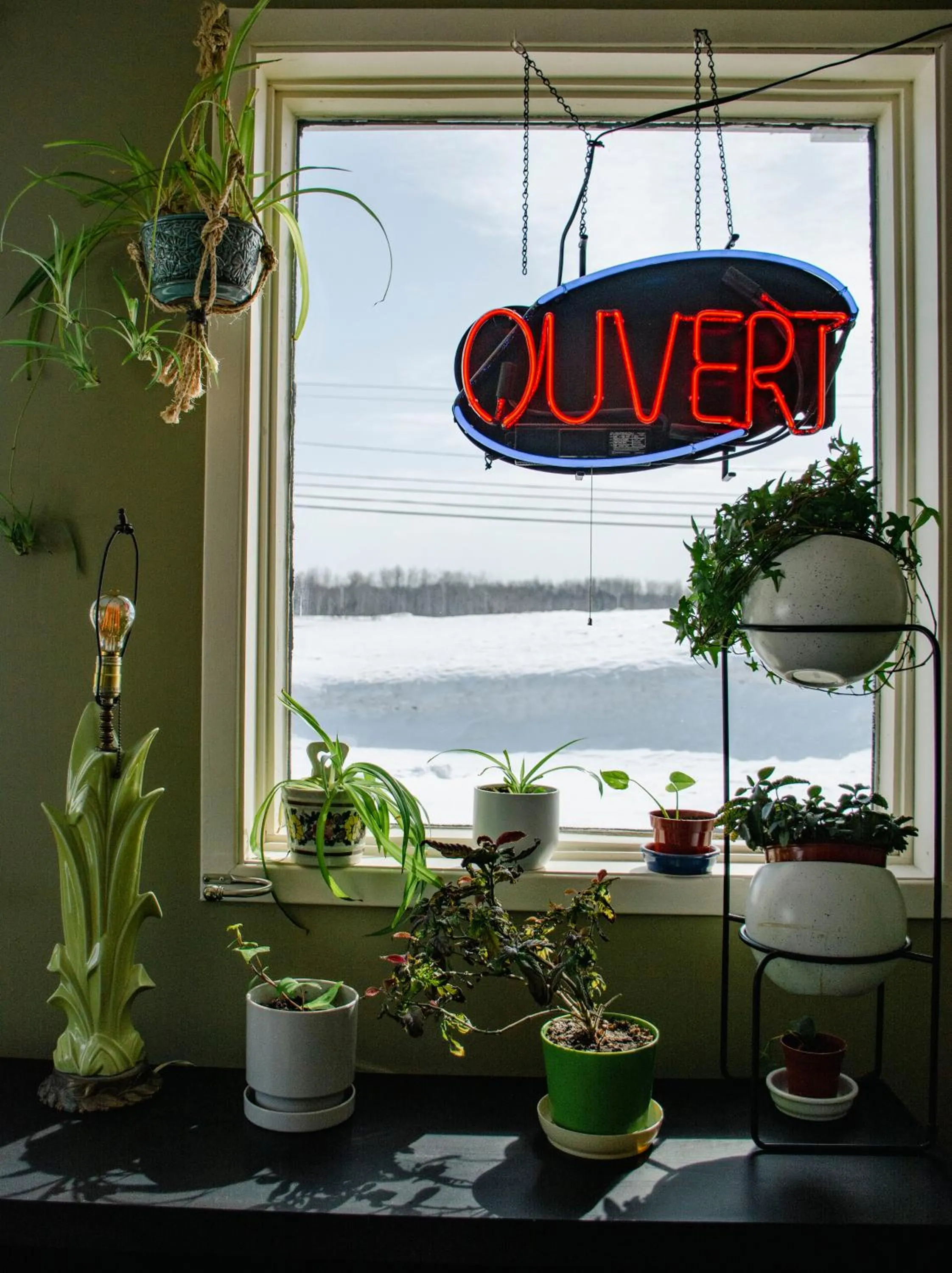 Lobby or reception in Motel Moreau