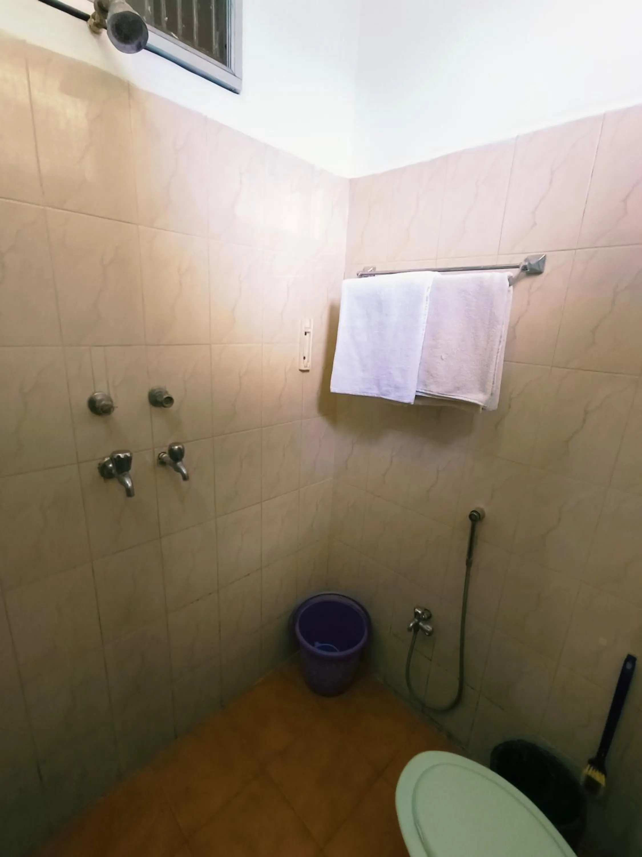 Shower in Baba Guest House