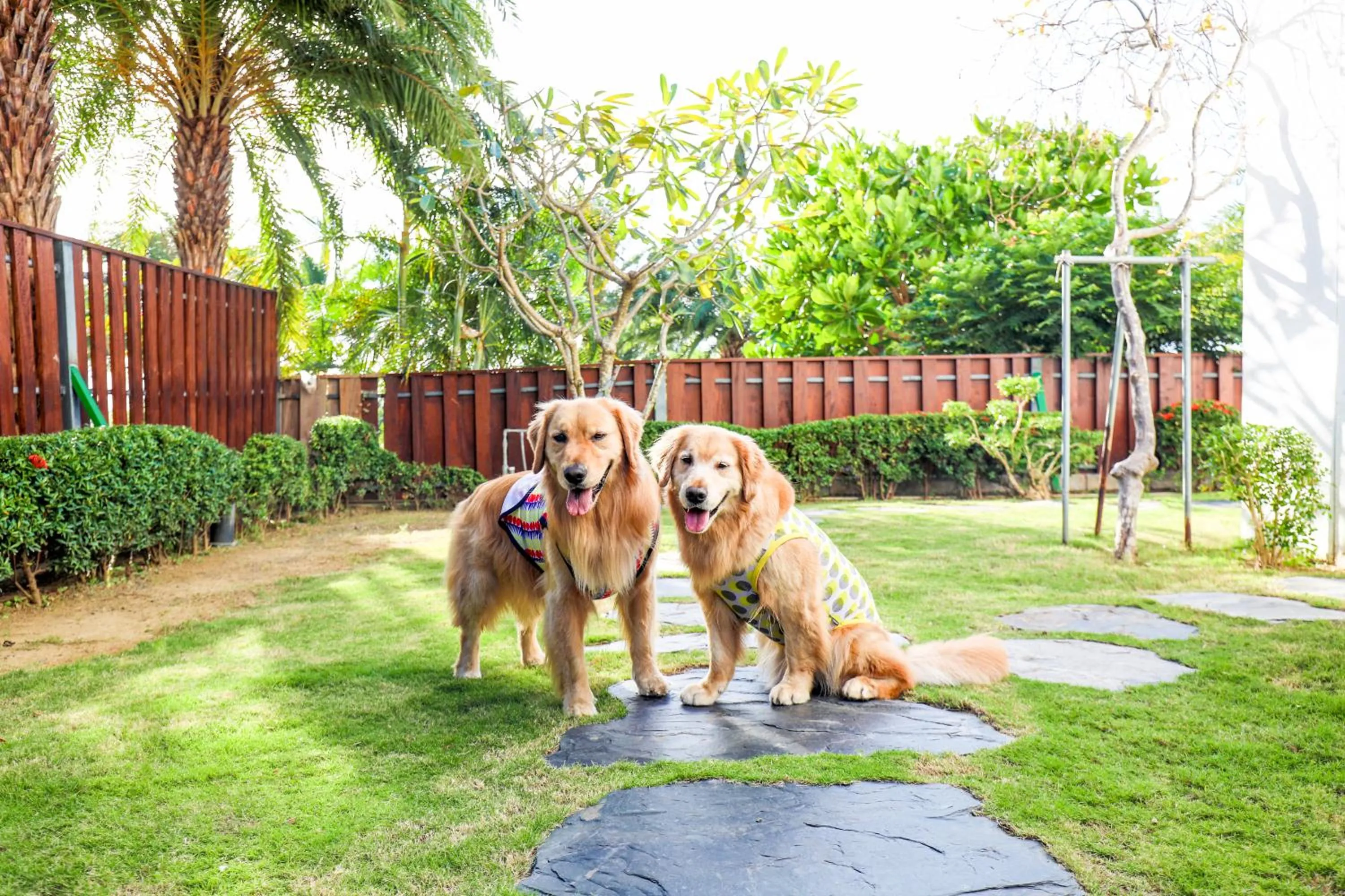 Patio in Bay Forest Boutique Hotel - Silver Pavilion