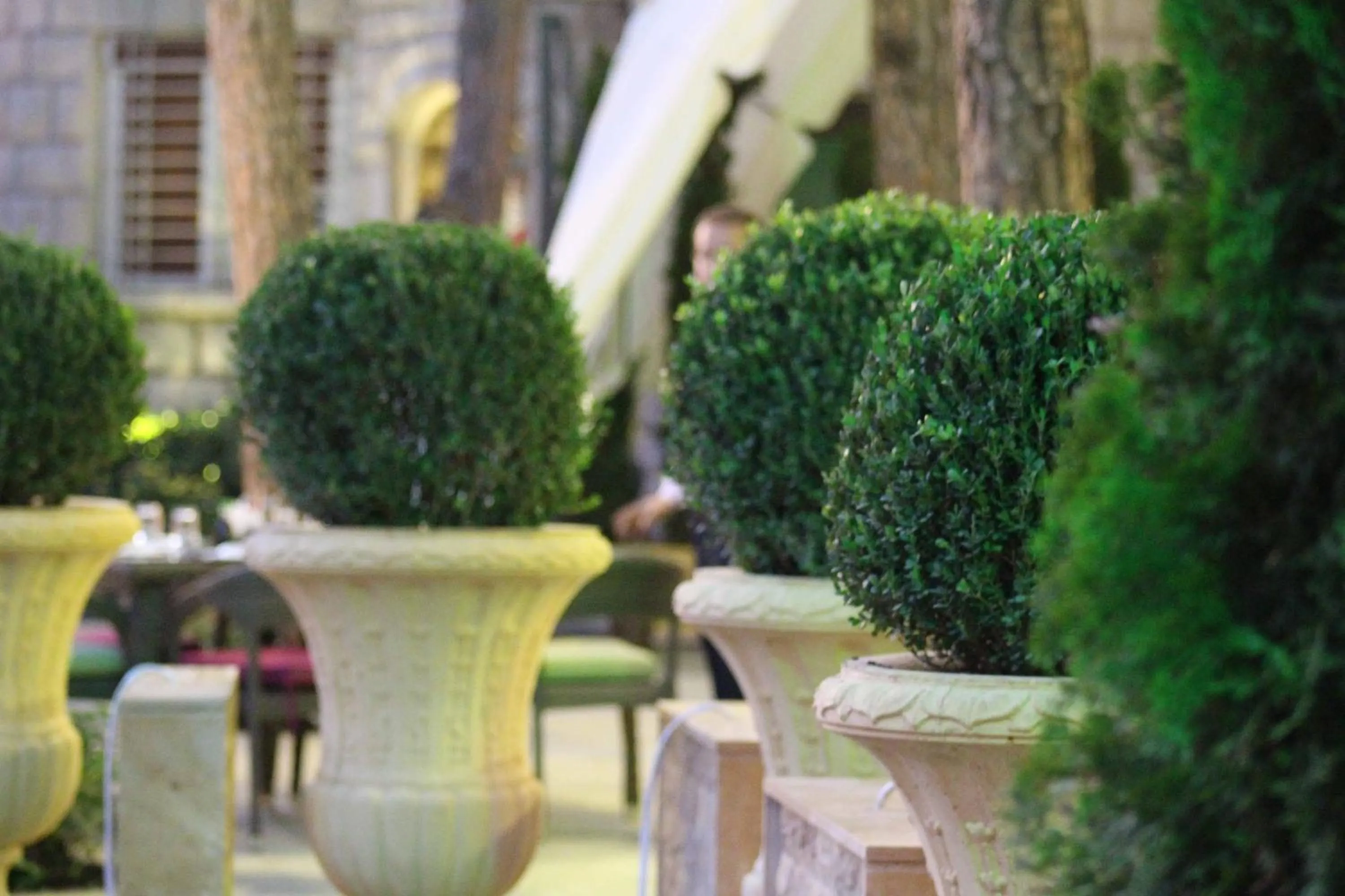 Garden in Colibri Hotel